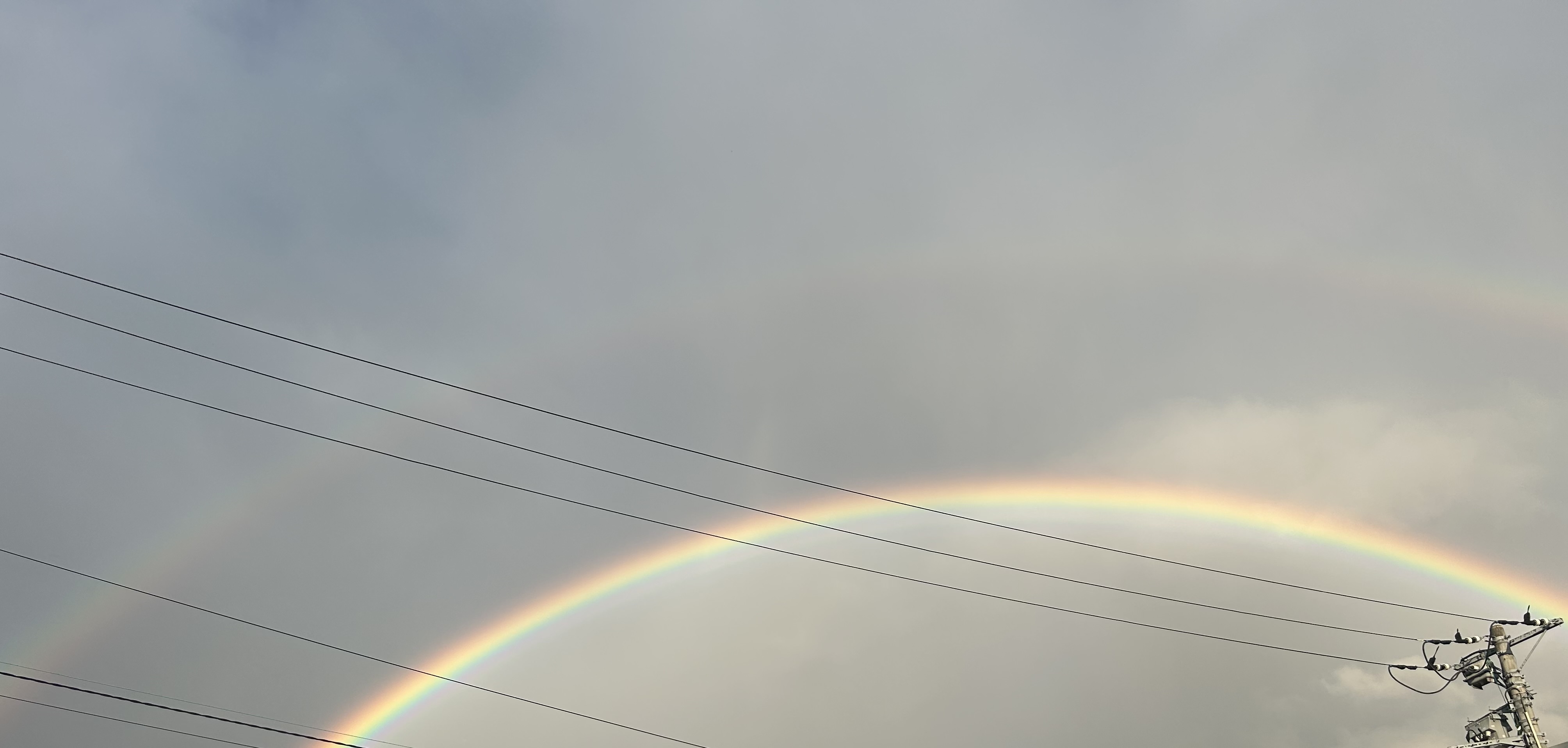 虹🌈ᵕ̈*
