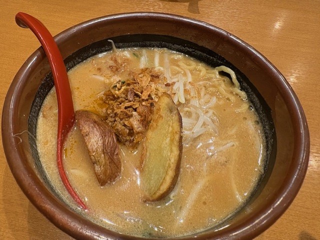 春の黄砂と花粉対策におすすめセルフ洗車と点検情報🚗