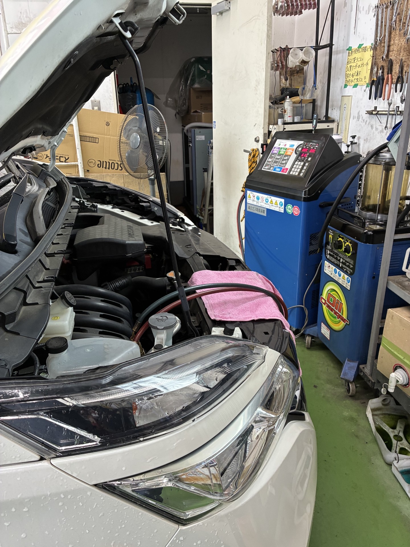 春の快適ドライブ応援！エアコンガス＆オイル交換半額セール開催中🚗