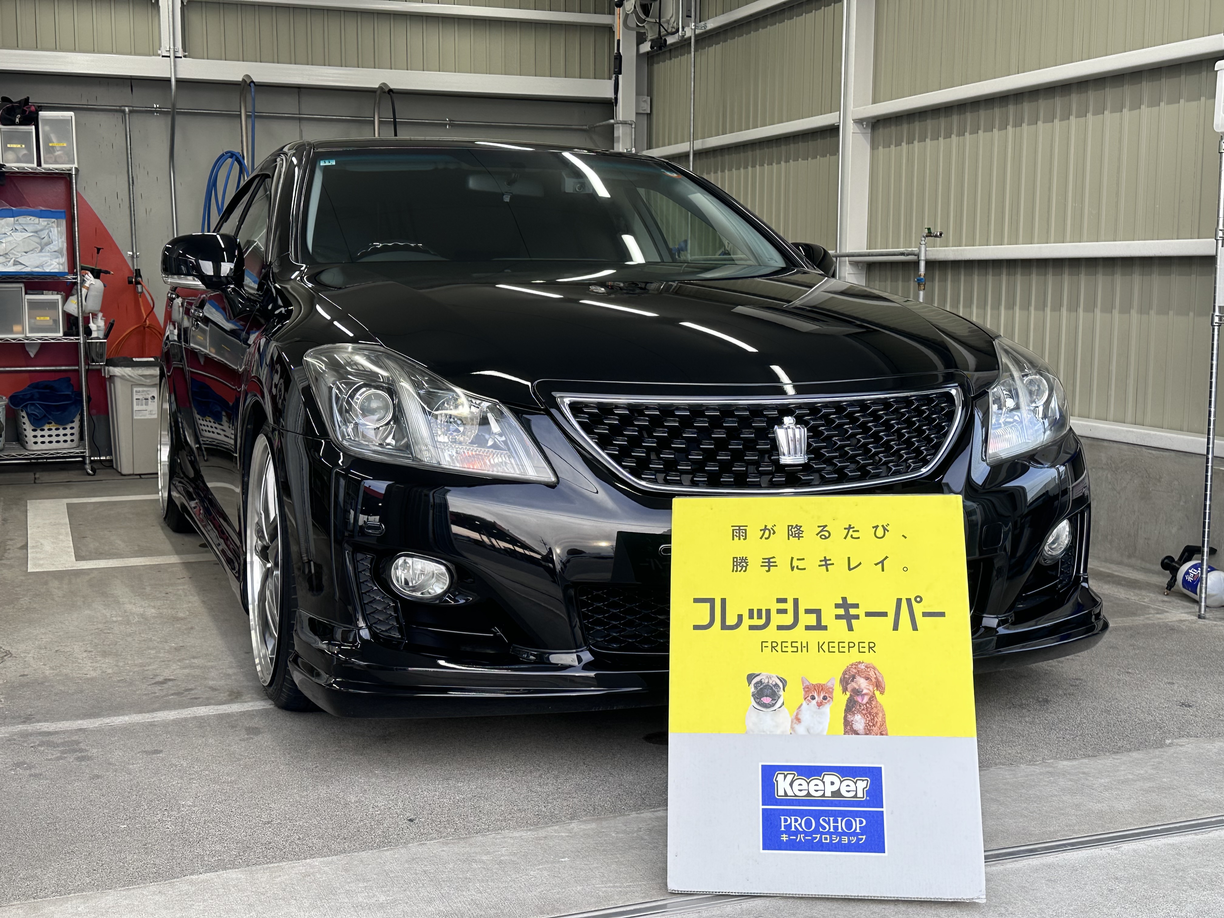 春のドライブ前におすすめ浜松インターTSのコーティング＆点検サービス🌸