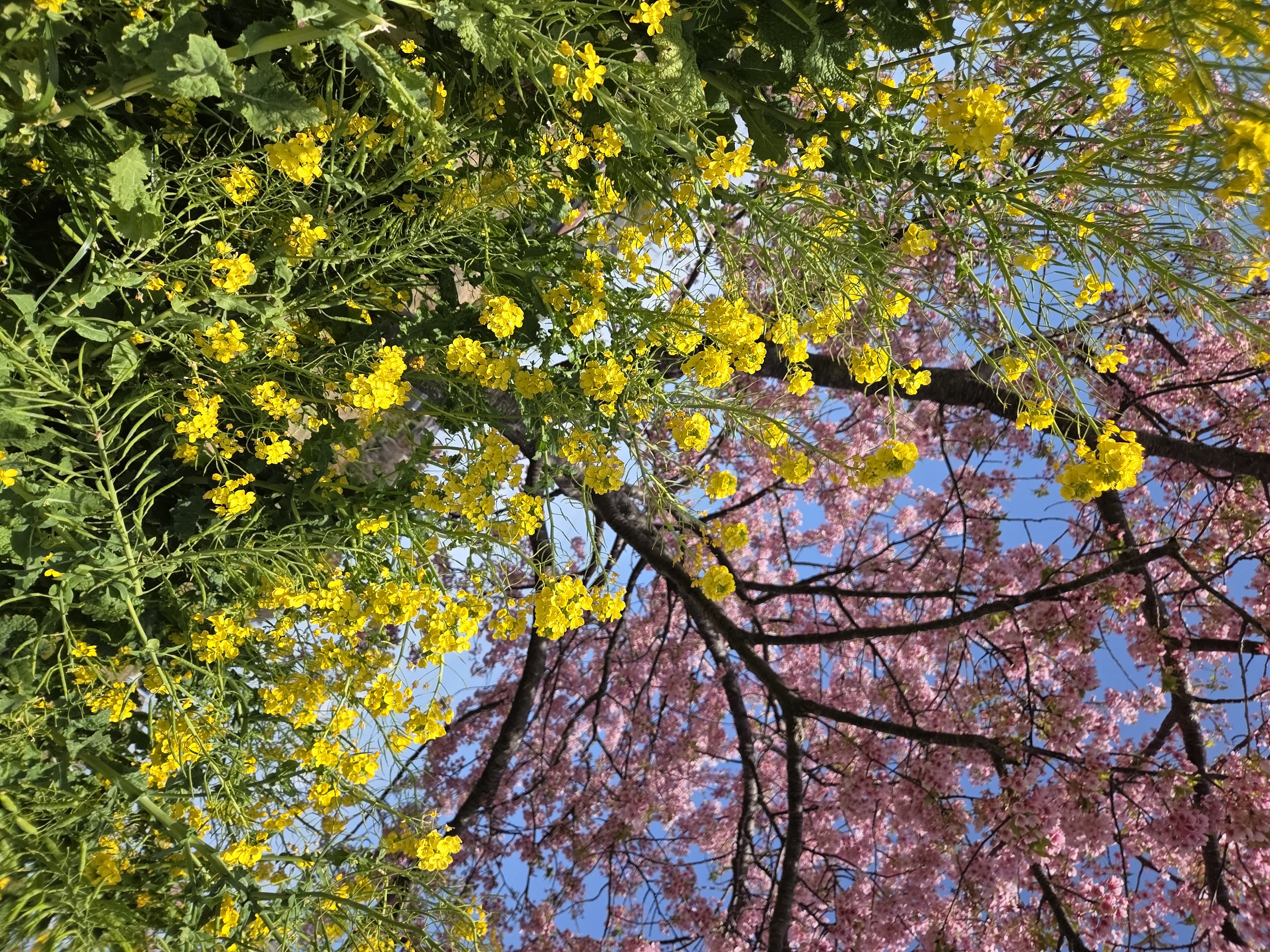 春の浜松インターTSで車メンテと快適ドライブを楽しもう🚗