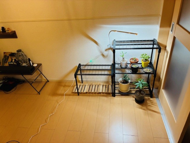 冬の黄砂対策におすすめ洗車と点検で愛車ピカピカに🚗✨