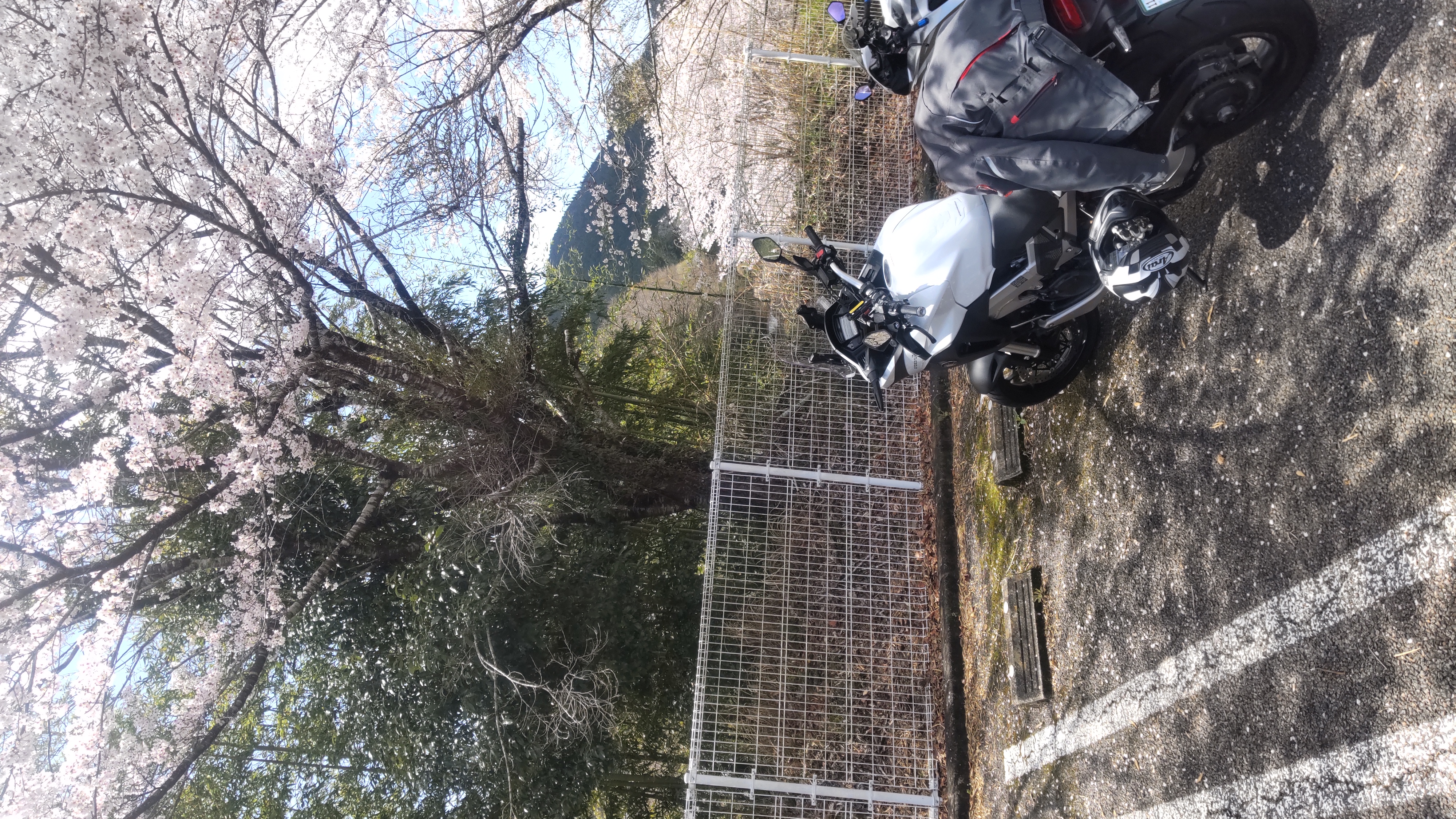 暖かくなって来ました。｜浜松インターTS｜202603161942