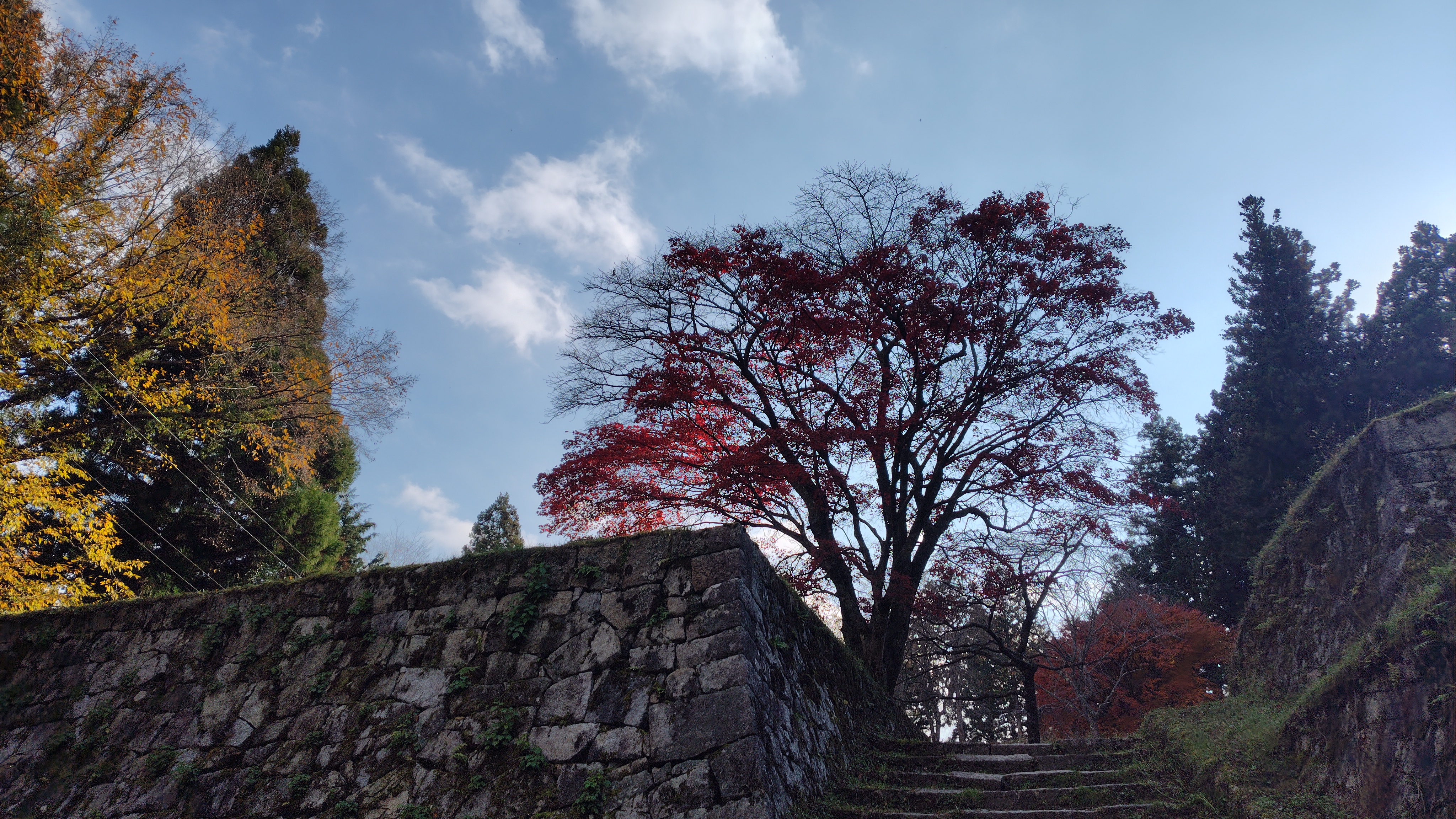 まだ見れました