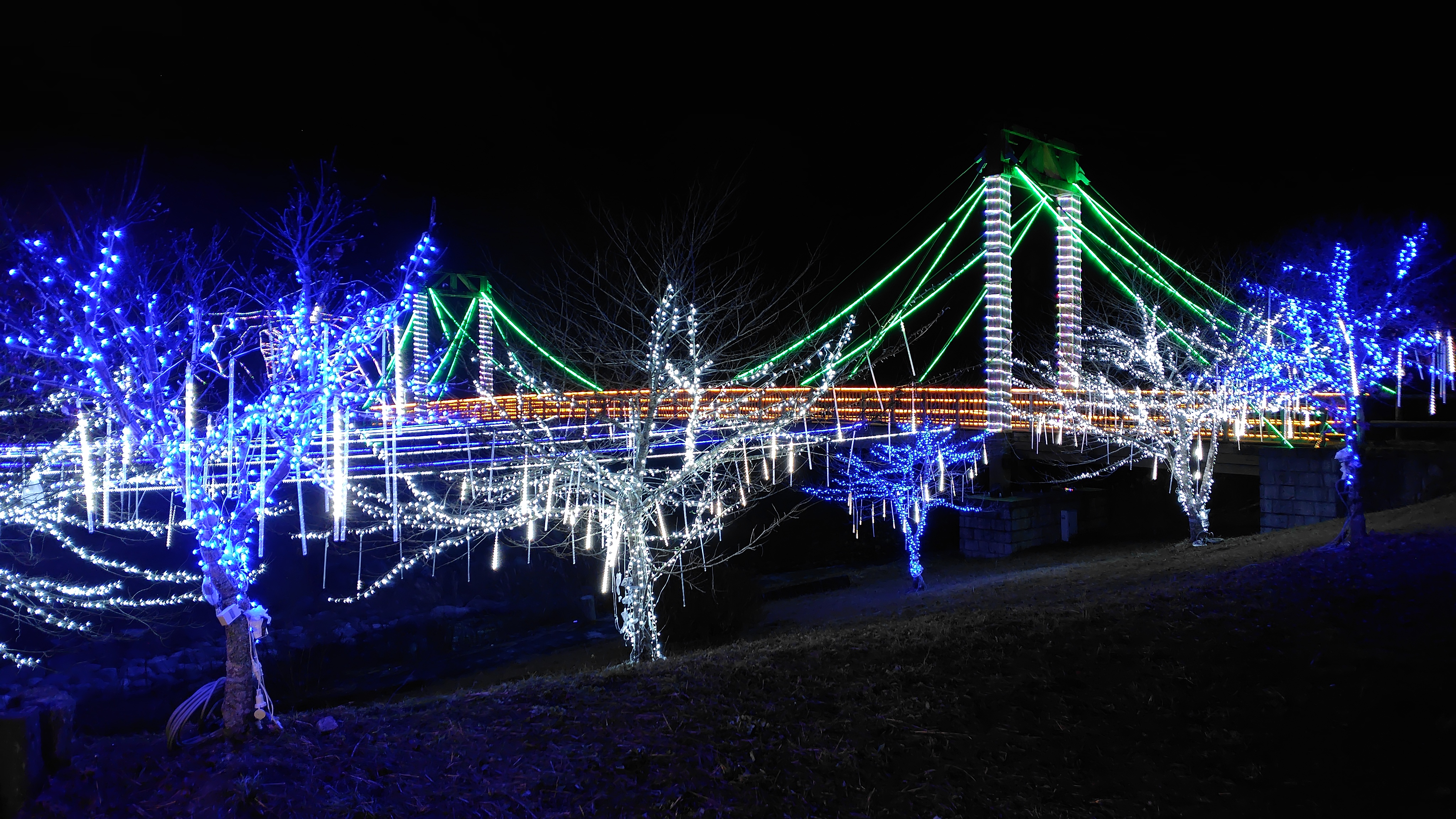 イルミネーション