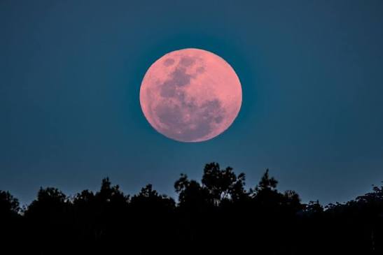 春のピンクムーンと愛車ケアで快適ドライブを楽しもう🌕