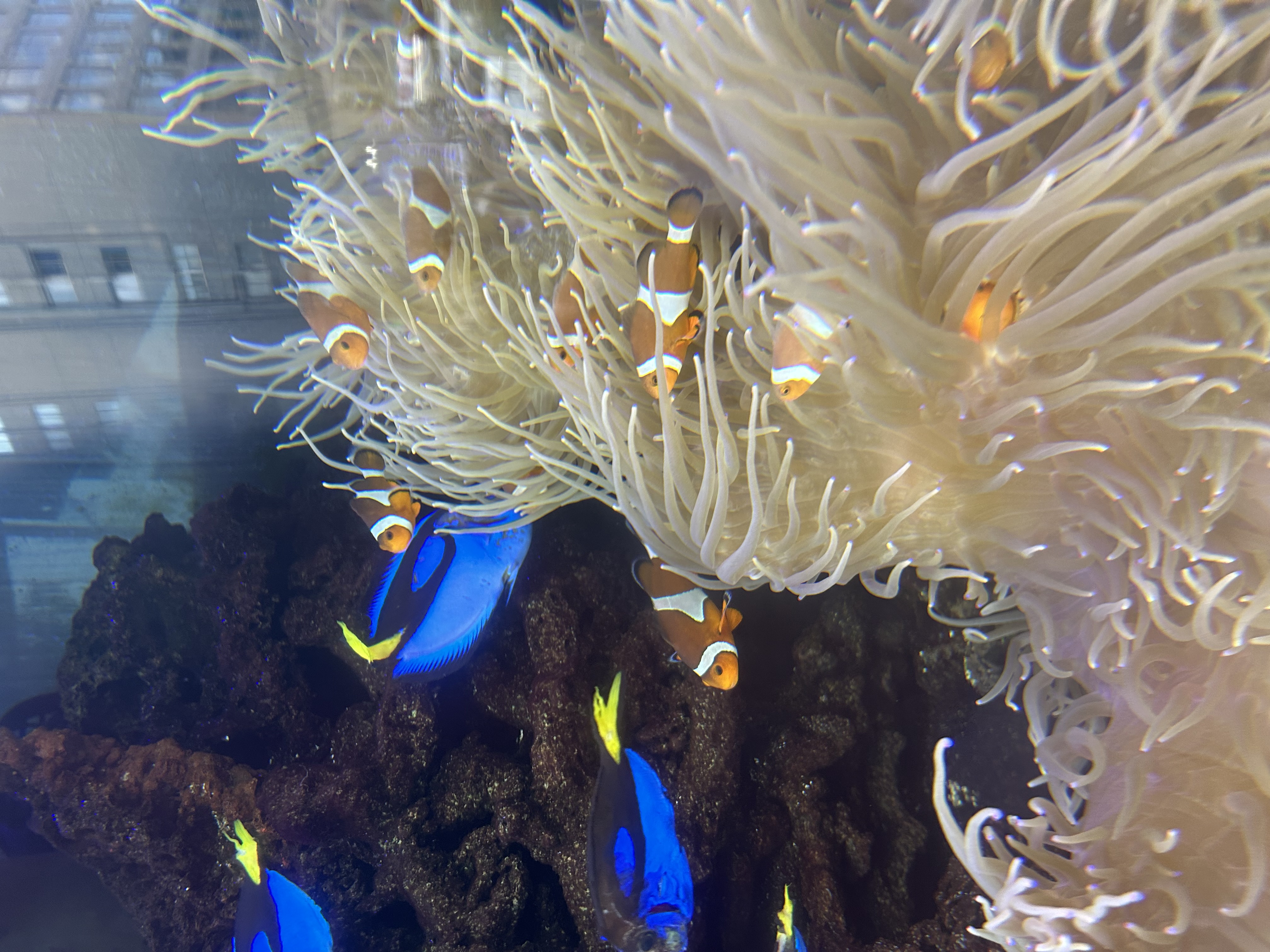 冬の快適ドライブに必須 エアコンガスクリーニングと冬季点検のすすめ🚗