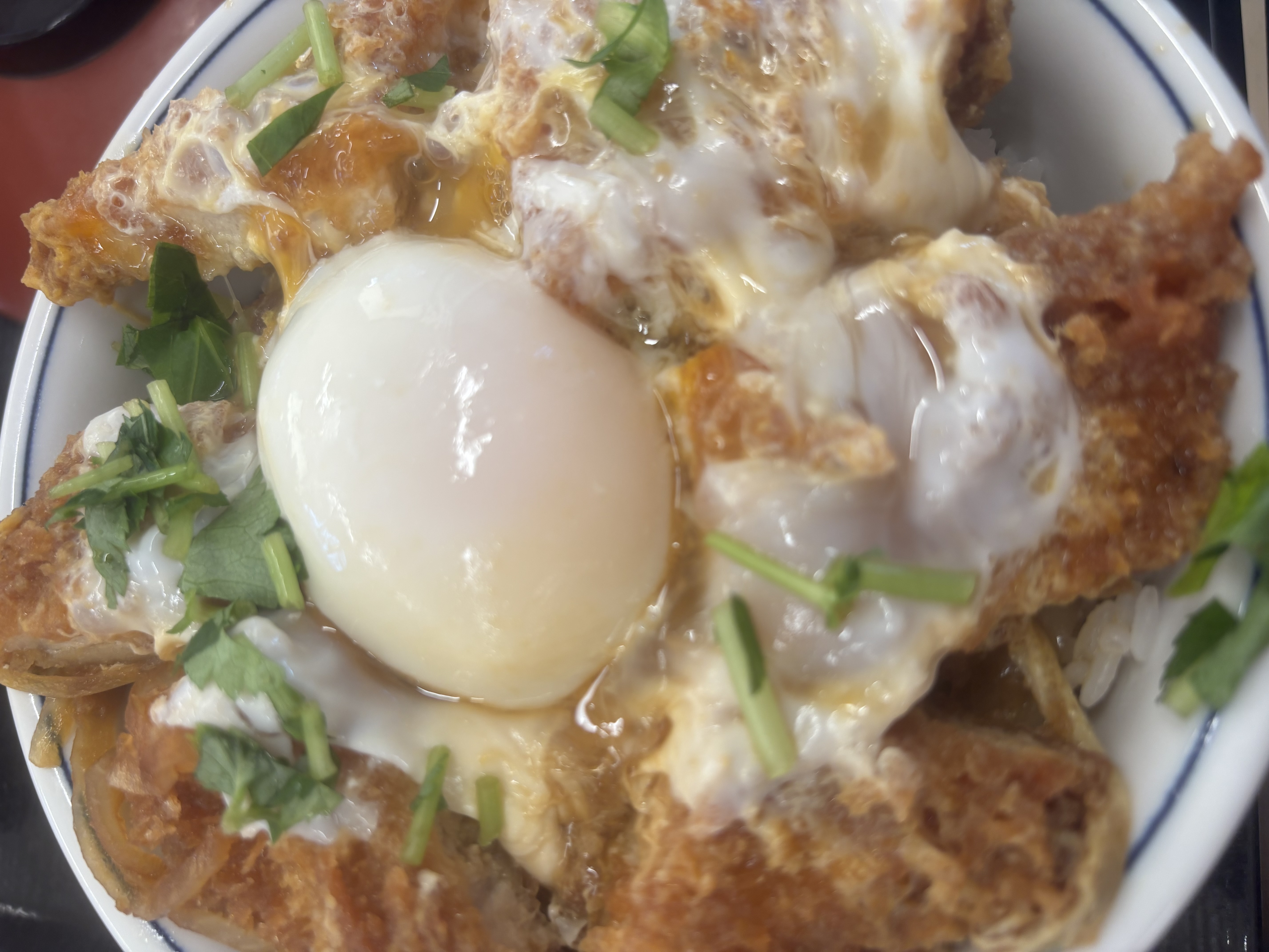 冬前に必見 車の下廻り点検と手洗い洗車イベント情報🚗