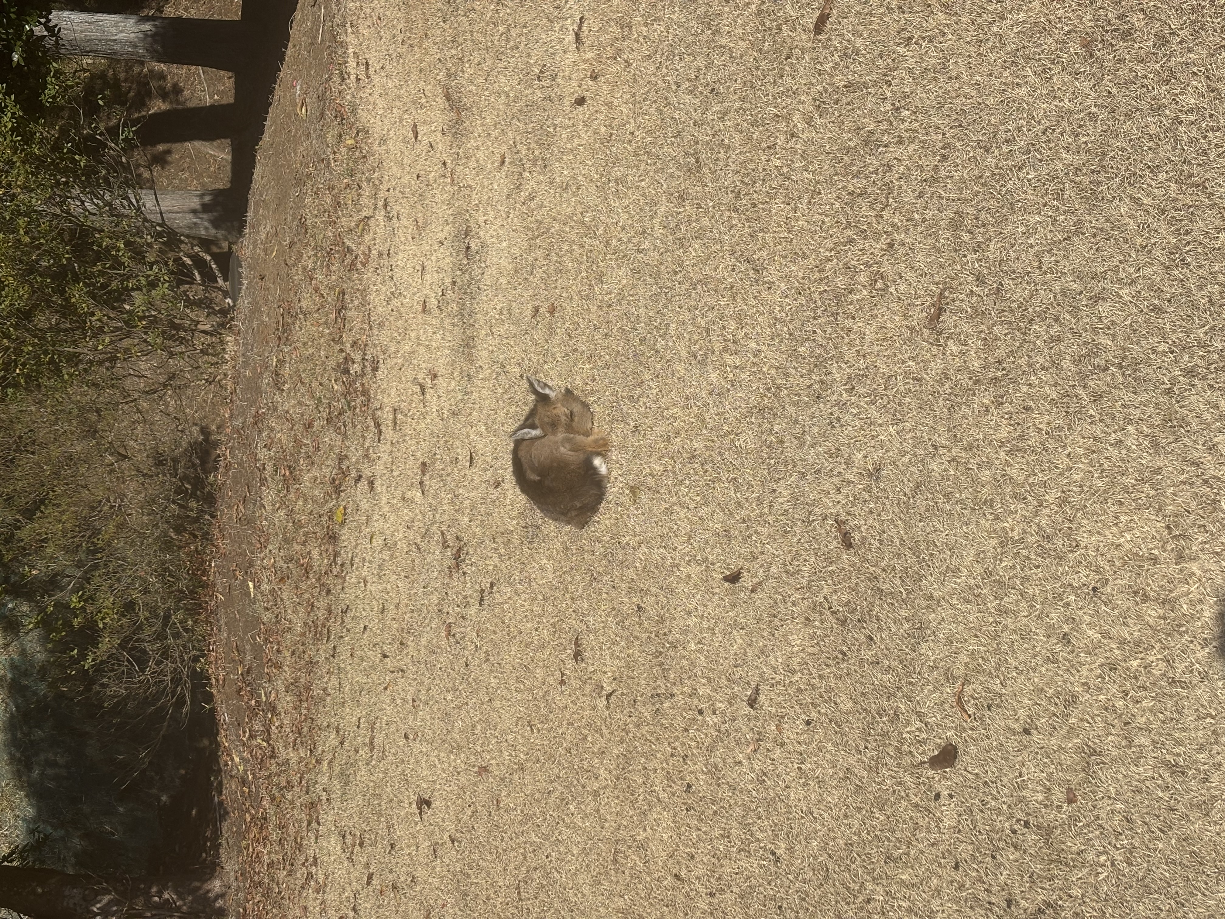 冬の車トラブル対策と点検おすすめポイント⛄️EneJet富士山・新富士SS