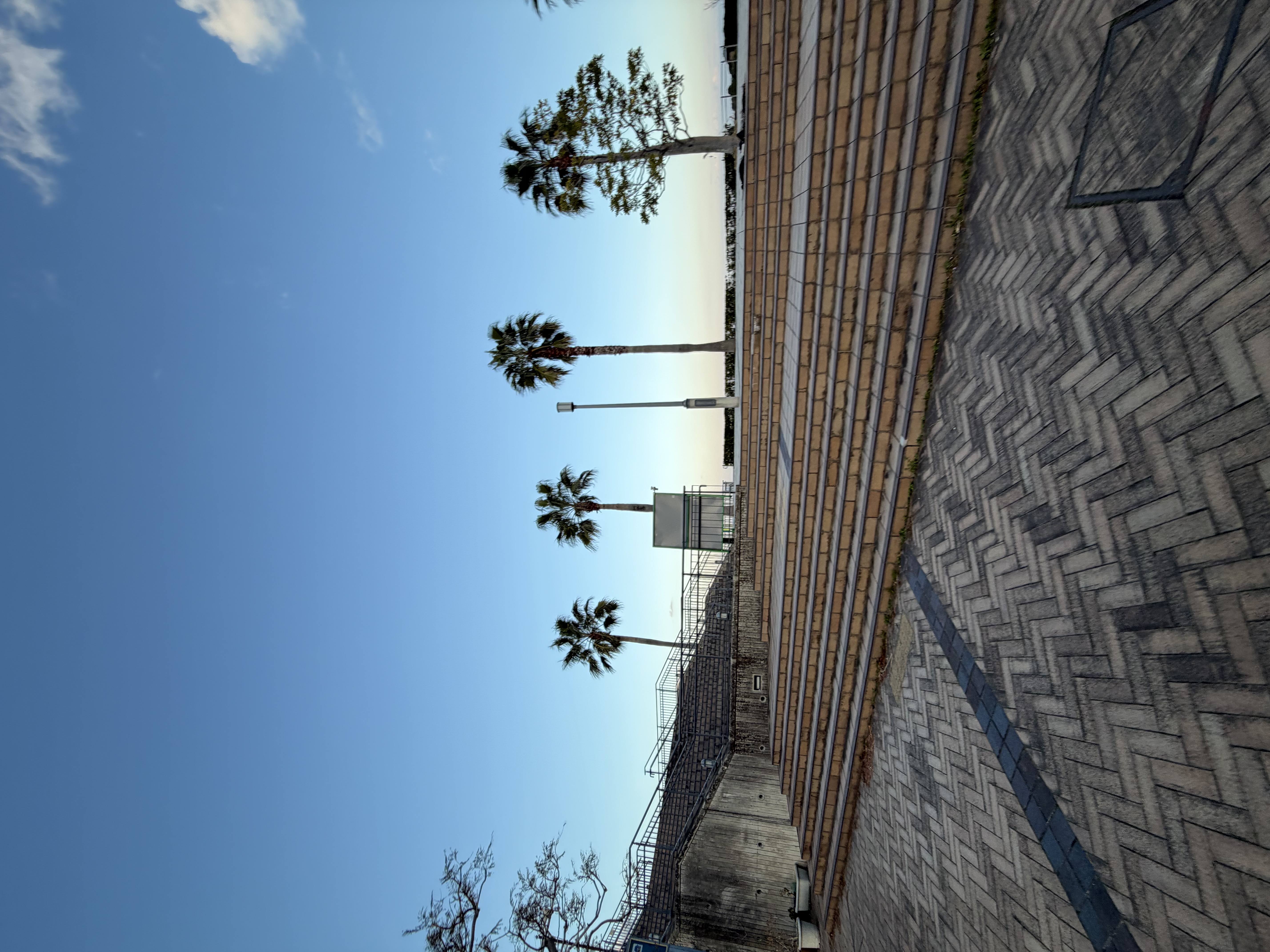 春の花粉対策におすすめ手洗い洗車と点検サービス🚗高松SSで安心ドライブ