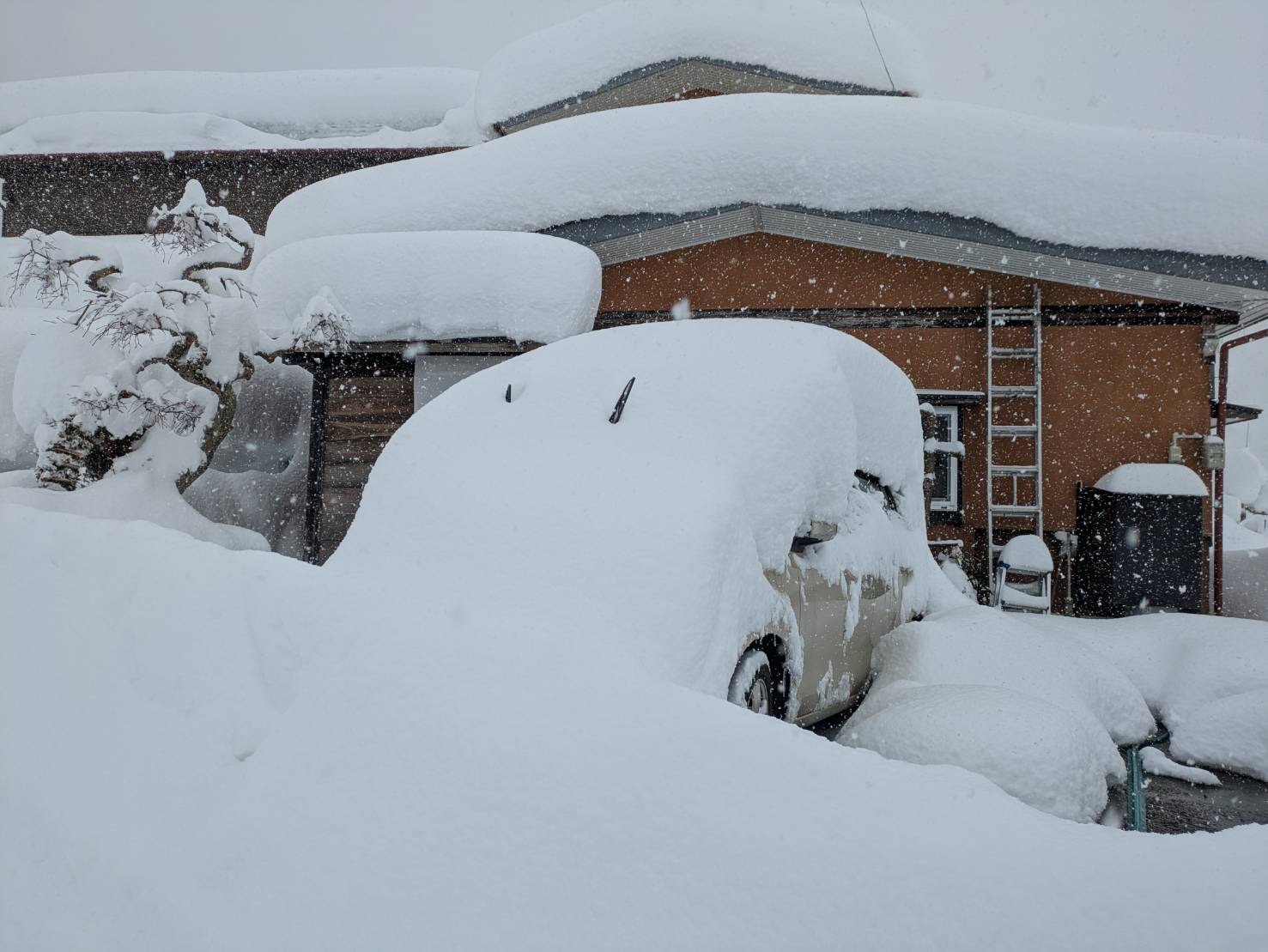 冬のタイヤ空気圧チェックで燃費と安全を守ろう🚗
