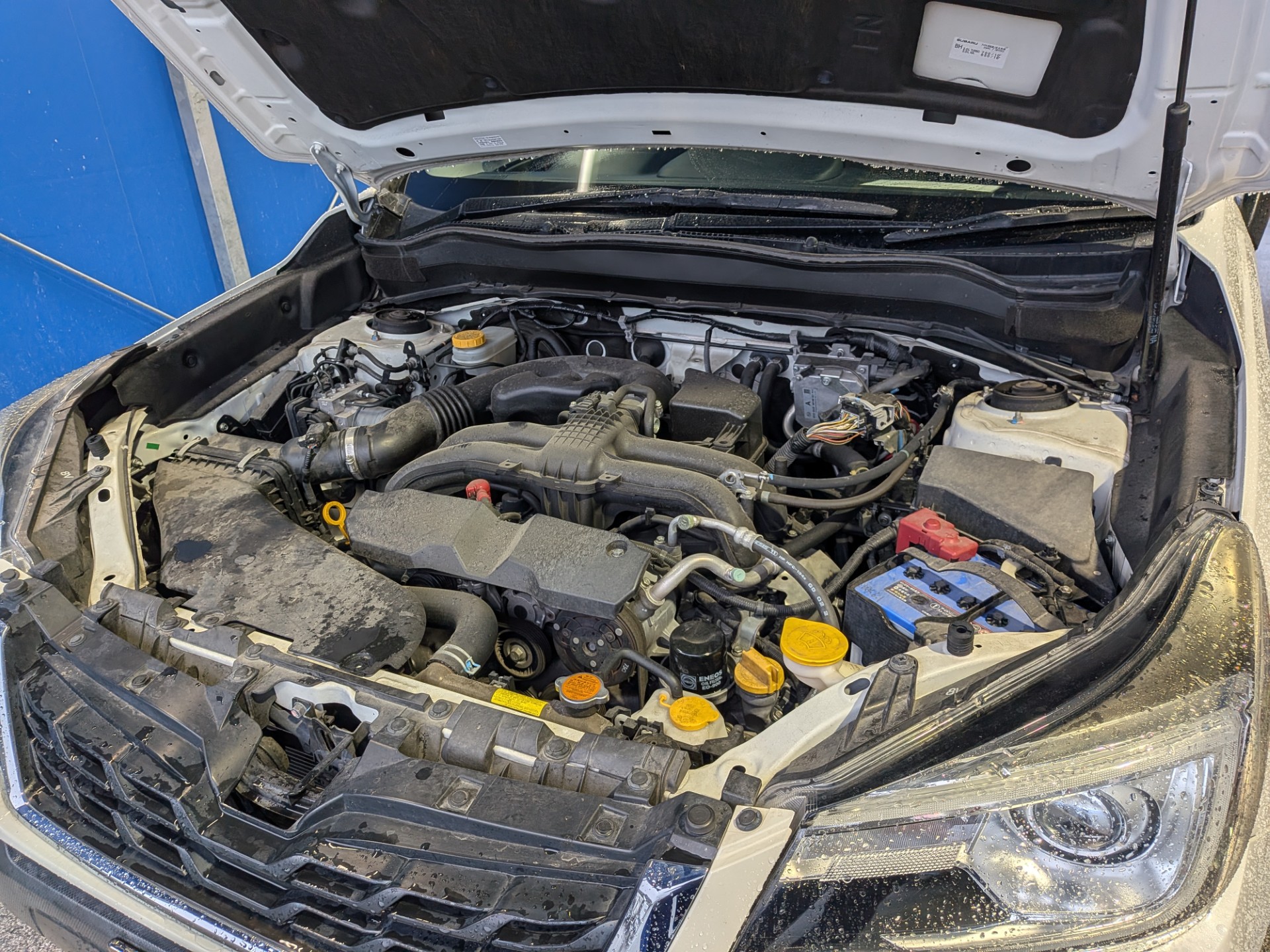 ルート１掛川TSで楽天車検からご予約いただいたスバル/フォレスターのオープンボンネット中