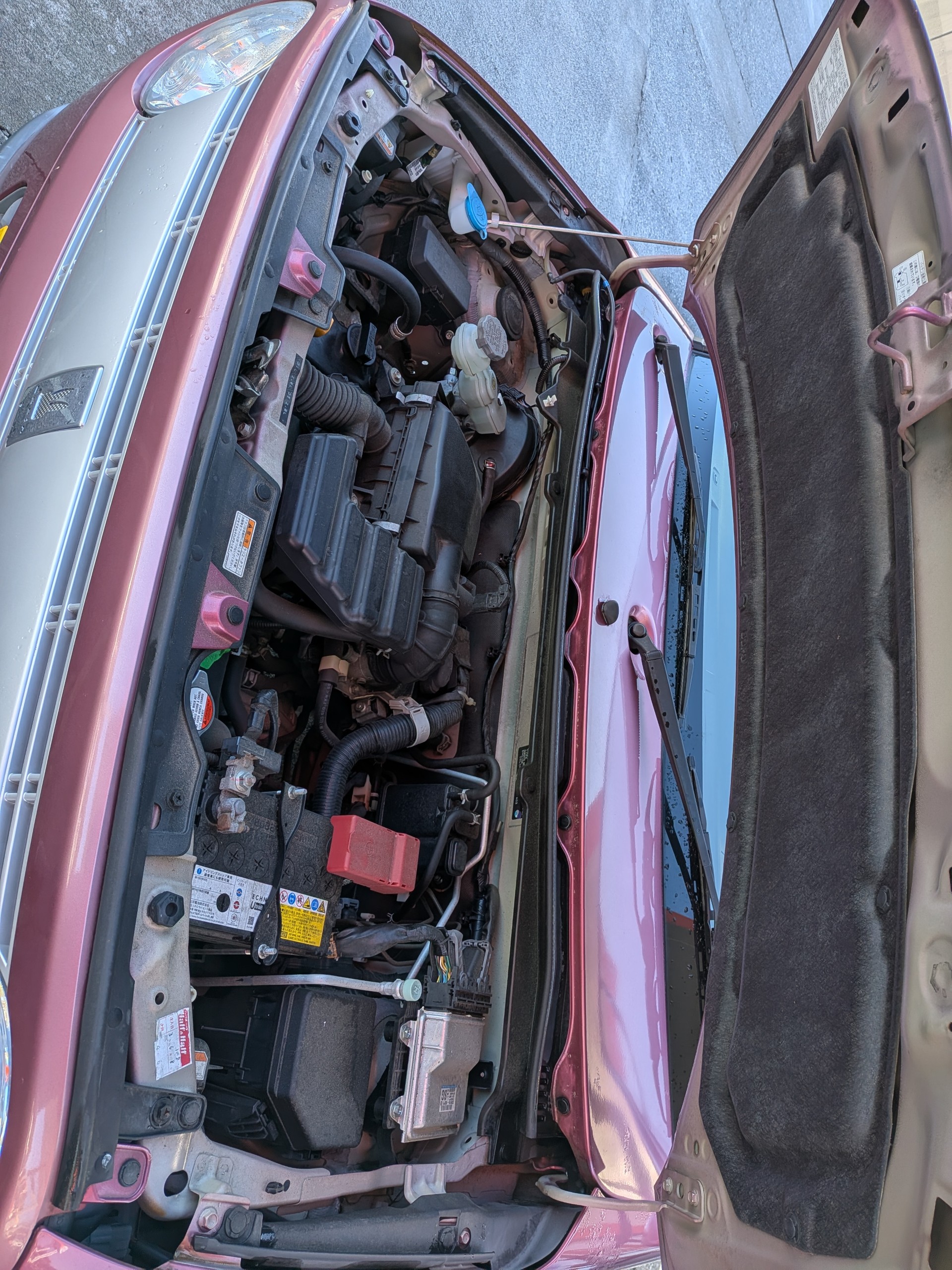 スズキアルトラパンの車検と春の安心メンテナンスをおススメ🌸