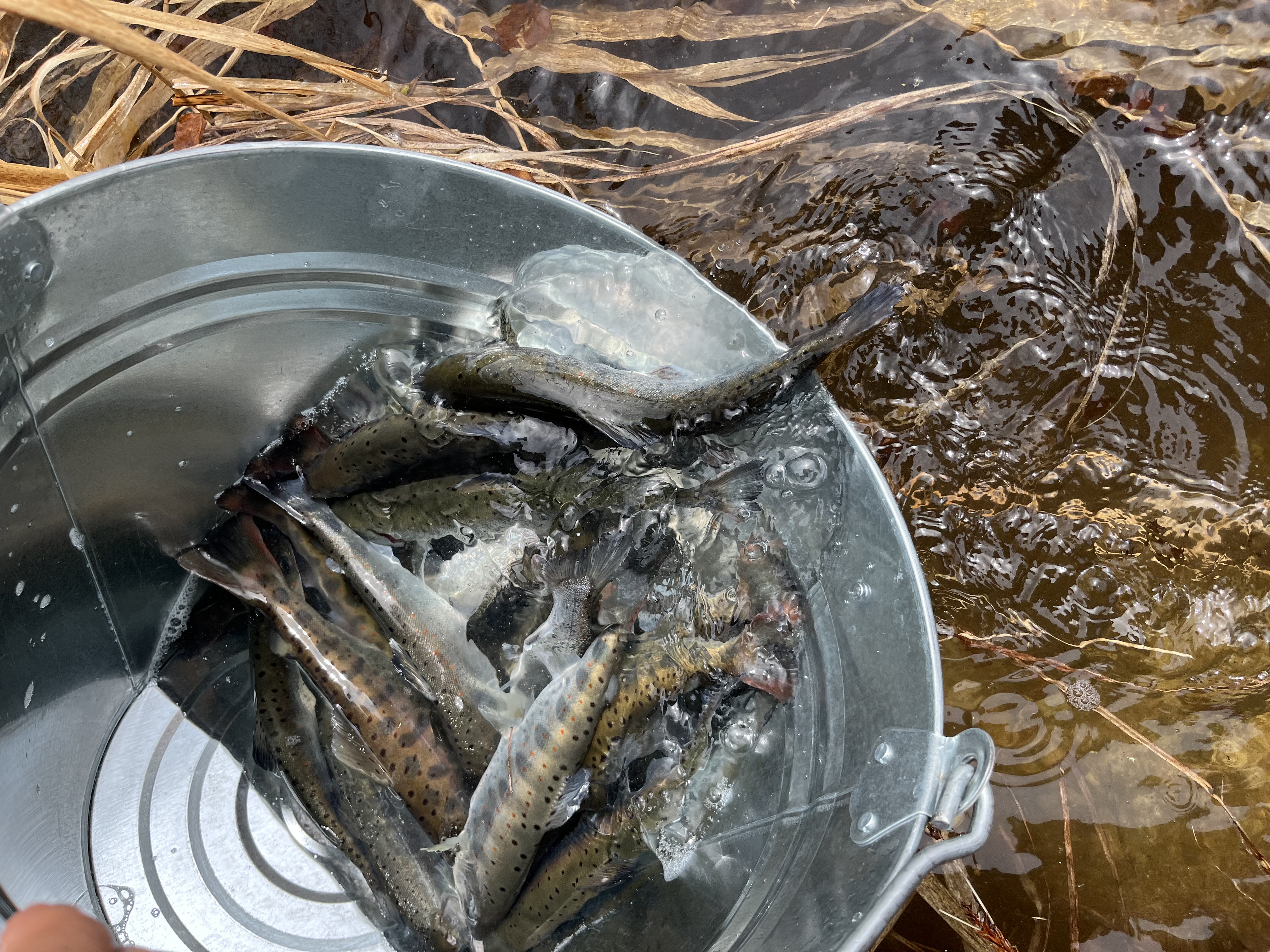 浜松西インターTS春のオイル交換半額＆ティッシュプレゼント中🚗🌸