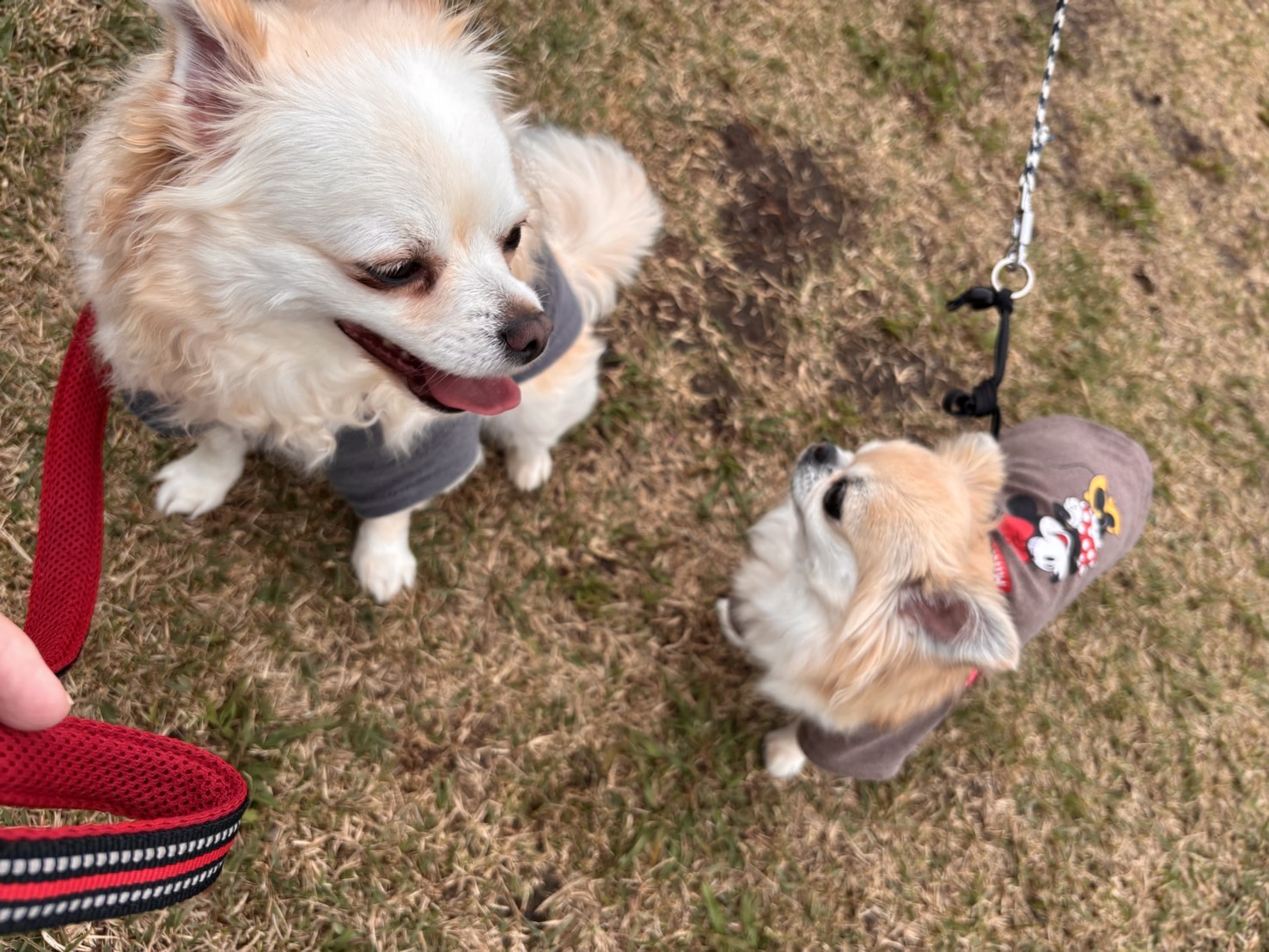 春のドライブ前にチェックしたい車のメンテナンスポイント🚗