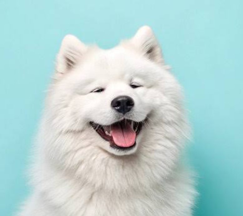 春のドライブ前におすすめ浜松西インターTSのオイル交換半額キャンペーン🚗