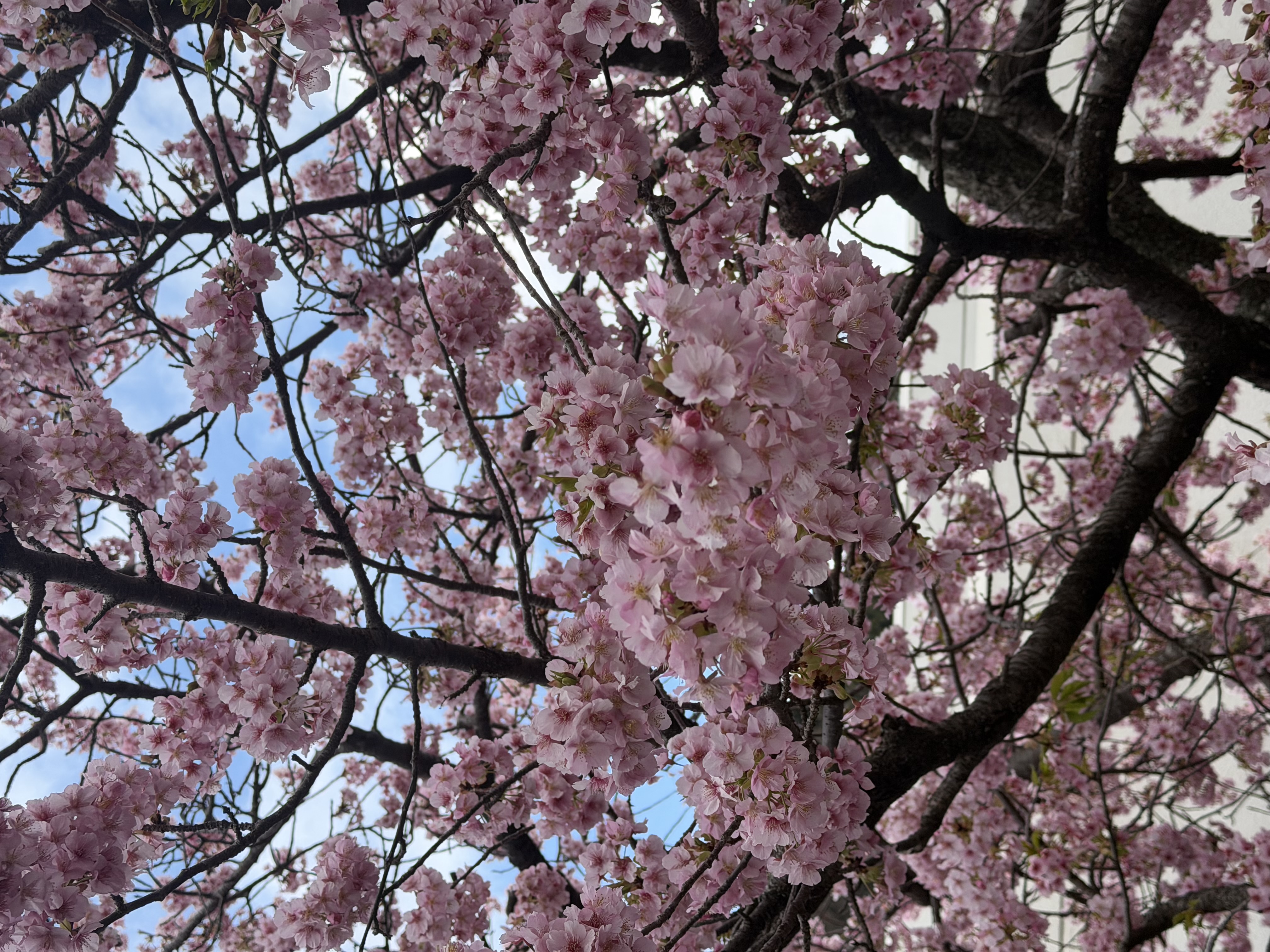 雨の日も安心沼津バイパス上りTSの無料点検と洗車サービス☔️