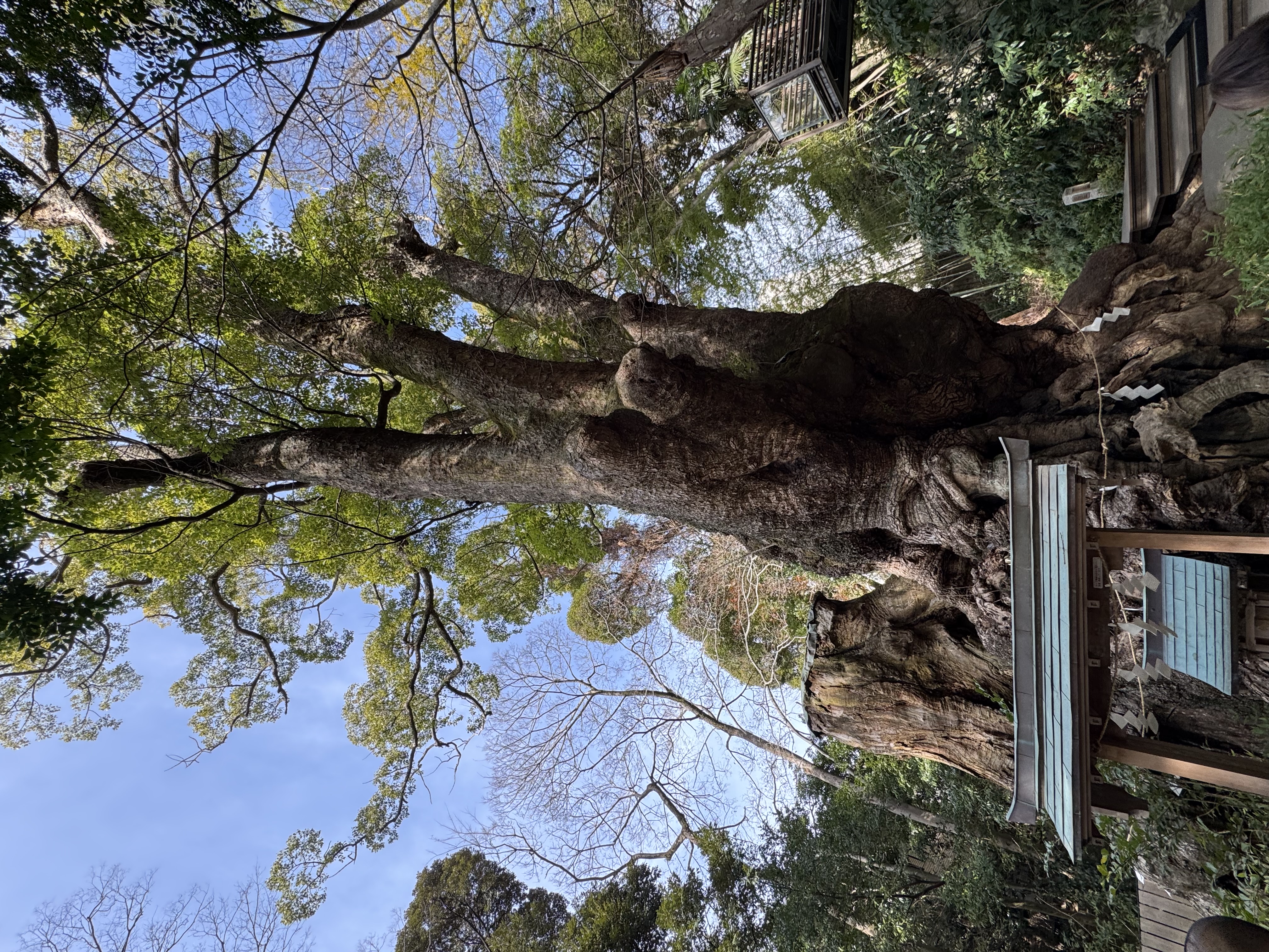 冬のバッテリー点検とトラックホイール清掃で安全運転をサポート