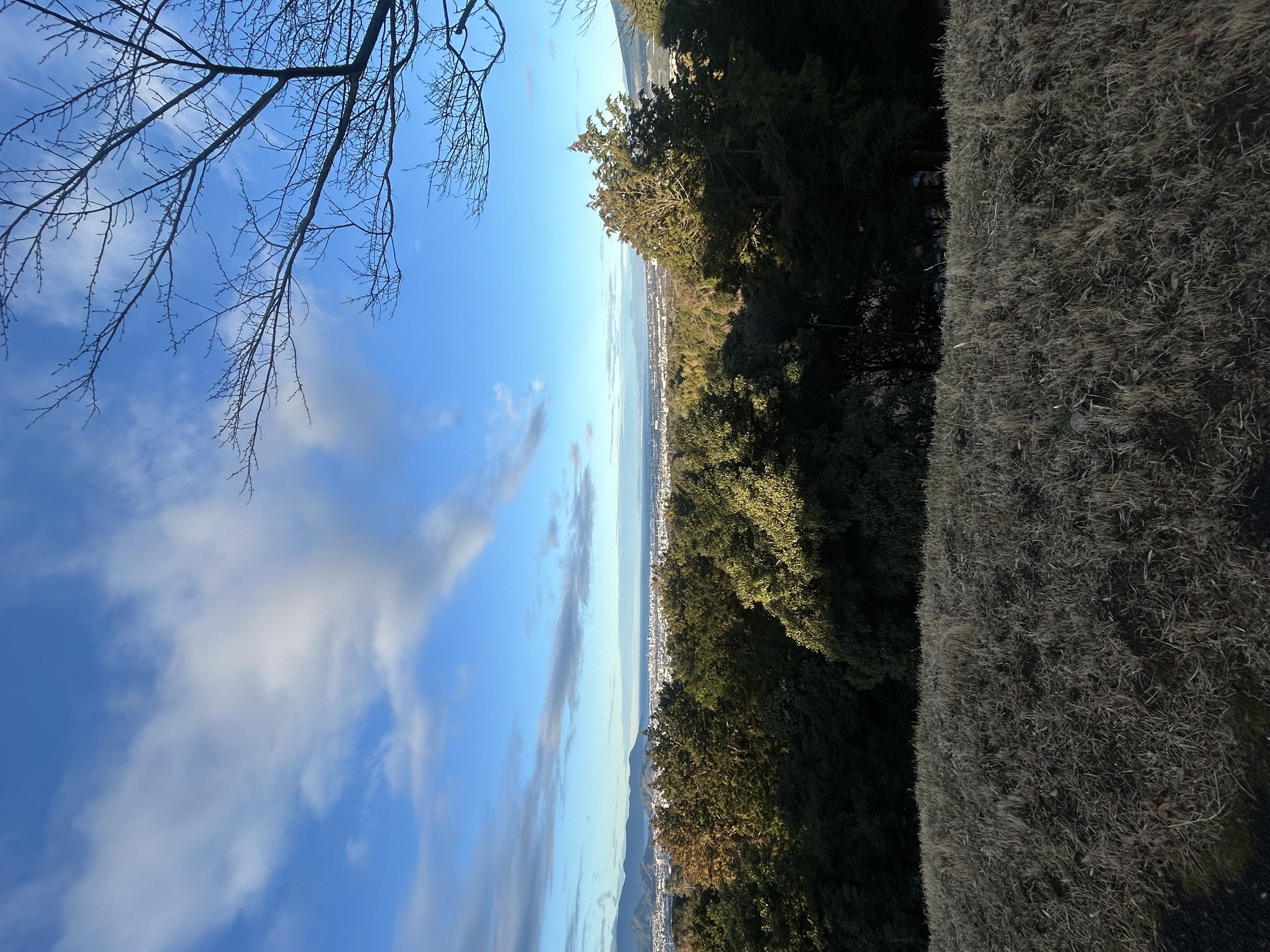 沼津バイパス上りTS超撥水ポリマー洗車で雨の日も快適に🚗