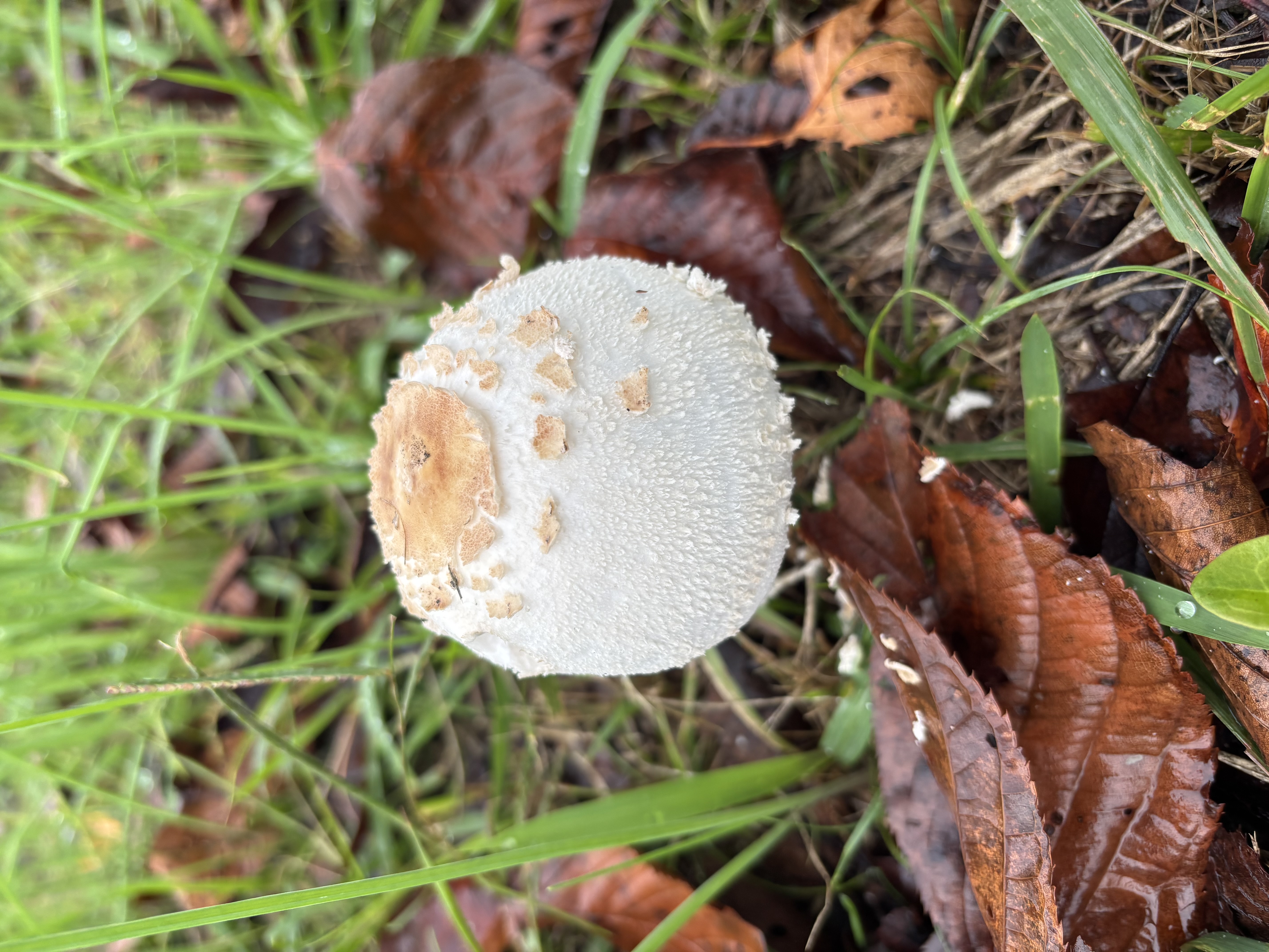沼津バイパス上りTSで安心車検 秋冬の愛車メンテポイント🚗