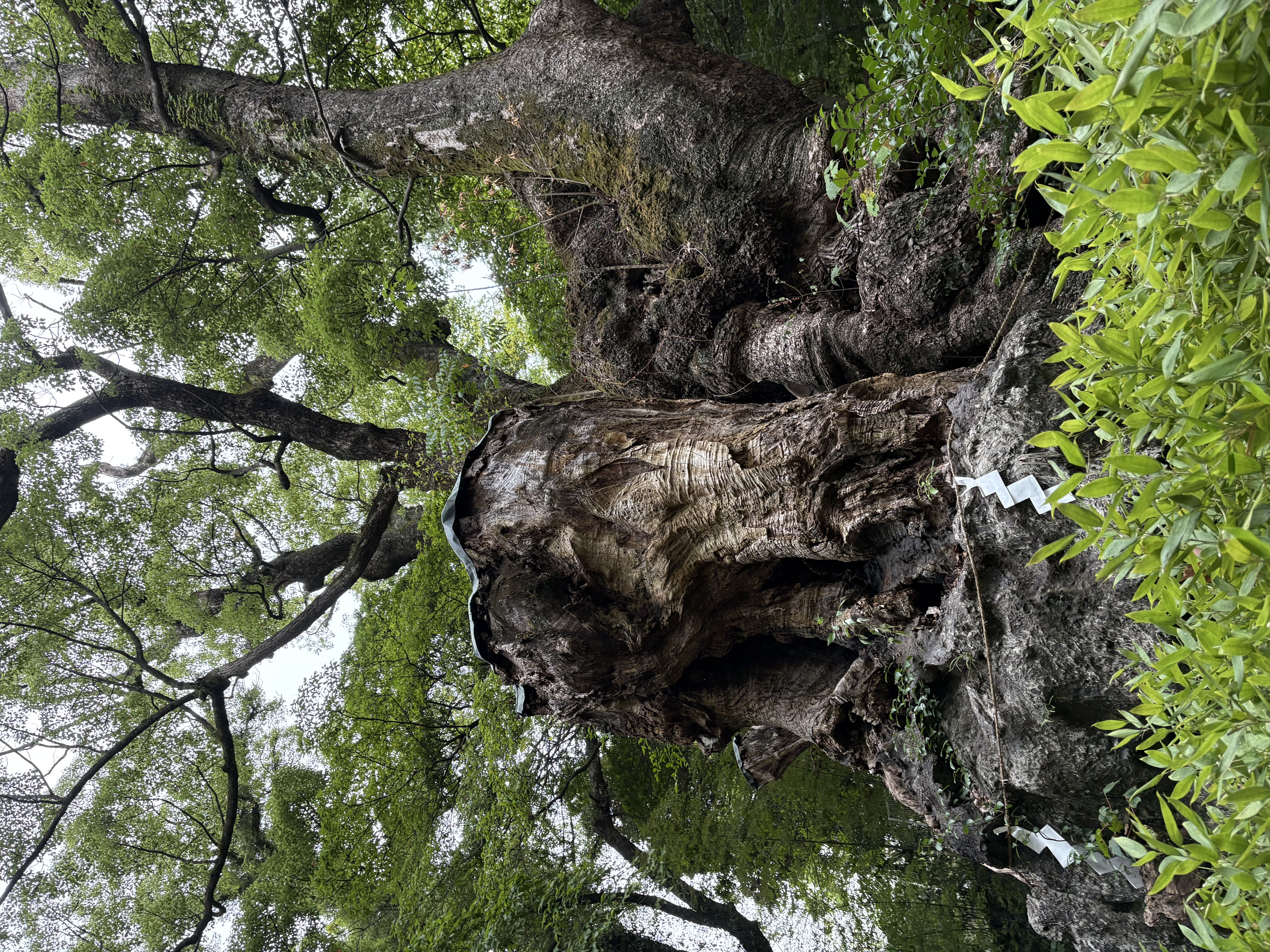 春の沼津バイパス上りTSで手洗い洗車とタイヤ交換を体験🚗✨