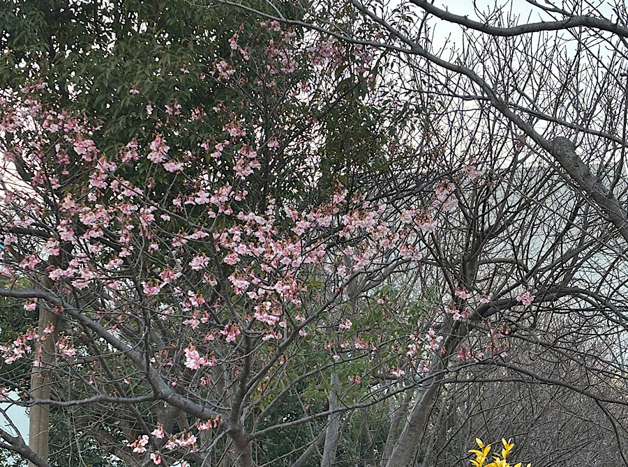 冬の車メンテナンスポイントと沼津バイパス上りTSの無料点検情報🚗