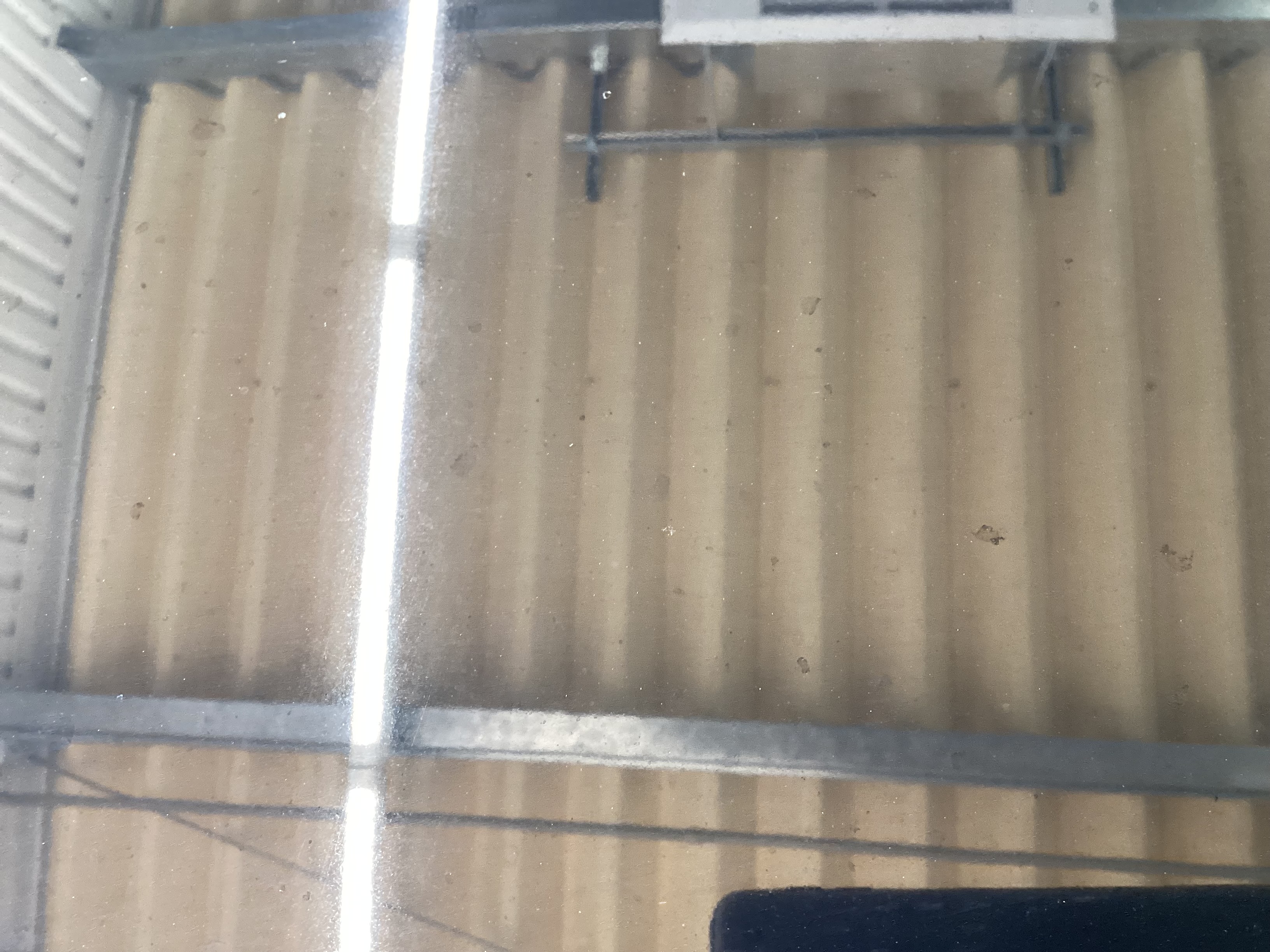 春の愛車メンテにおすすめ🌸セルフ新城杉山SSで輝き復活！