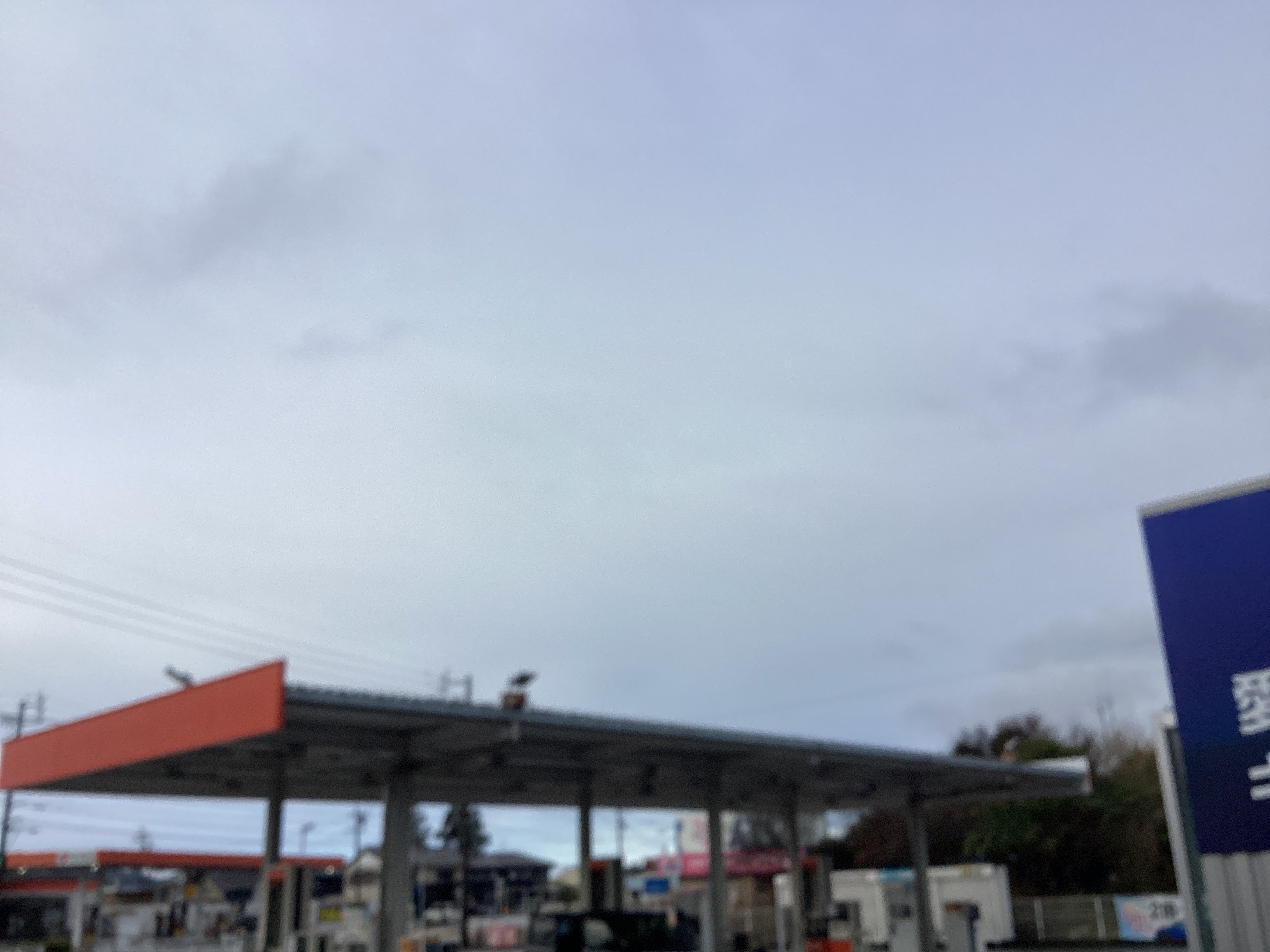 春の雨対策におすすめコーティングと洗車キャンペーン情報🚗