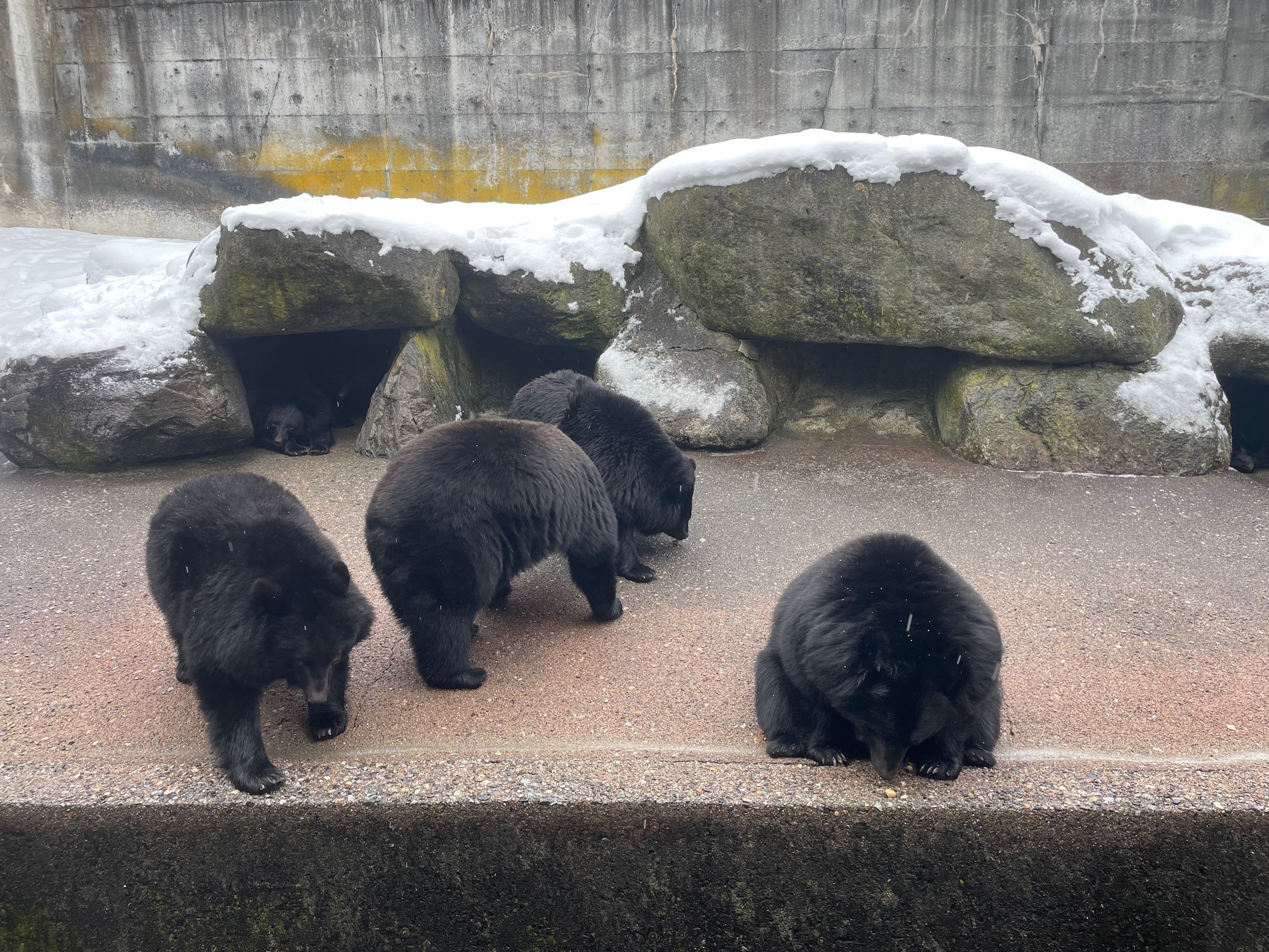 冬の洗車と点検で快適ドライブを応援ルート41豊山TSから🚗✨