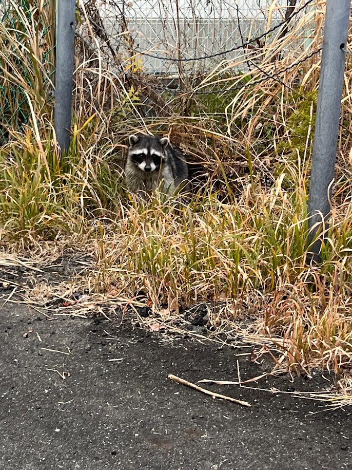 冬の車トラブル予防に安心無料点検とお得なコーティングクーポン🚗