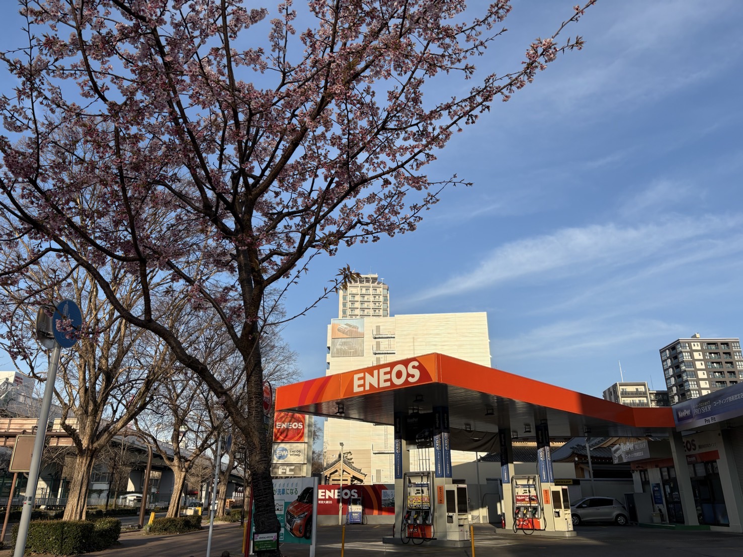 春の車メンテナンスポイント！洗車からタイヤ点検まで安心ドライブ🚗🌸