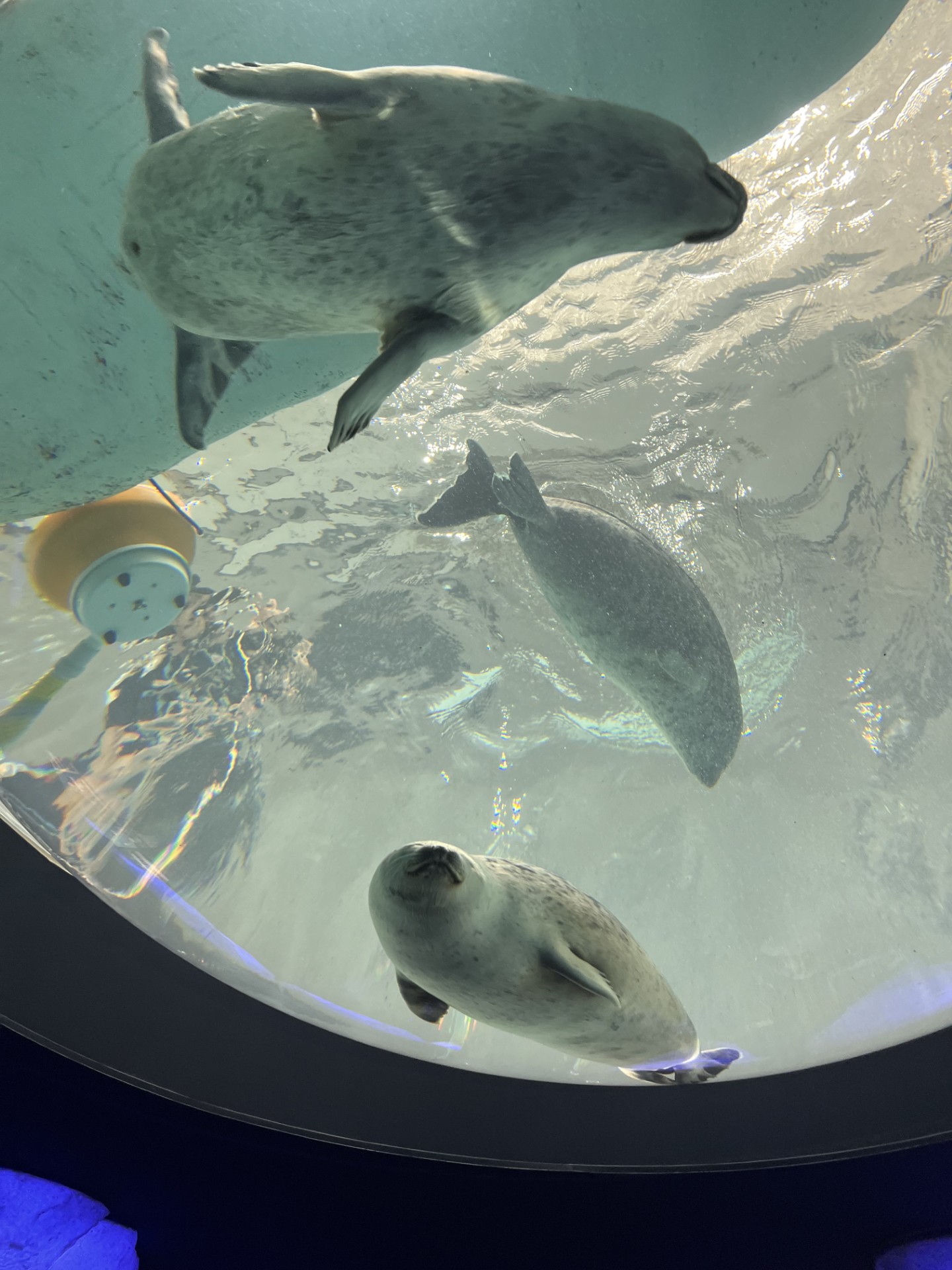 雨の日の車メンテナンスポイントと秋の安全ドライブ対策🚗