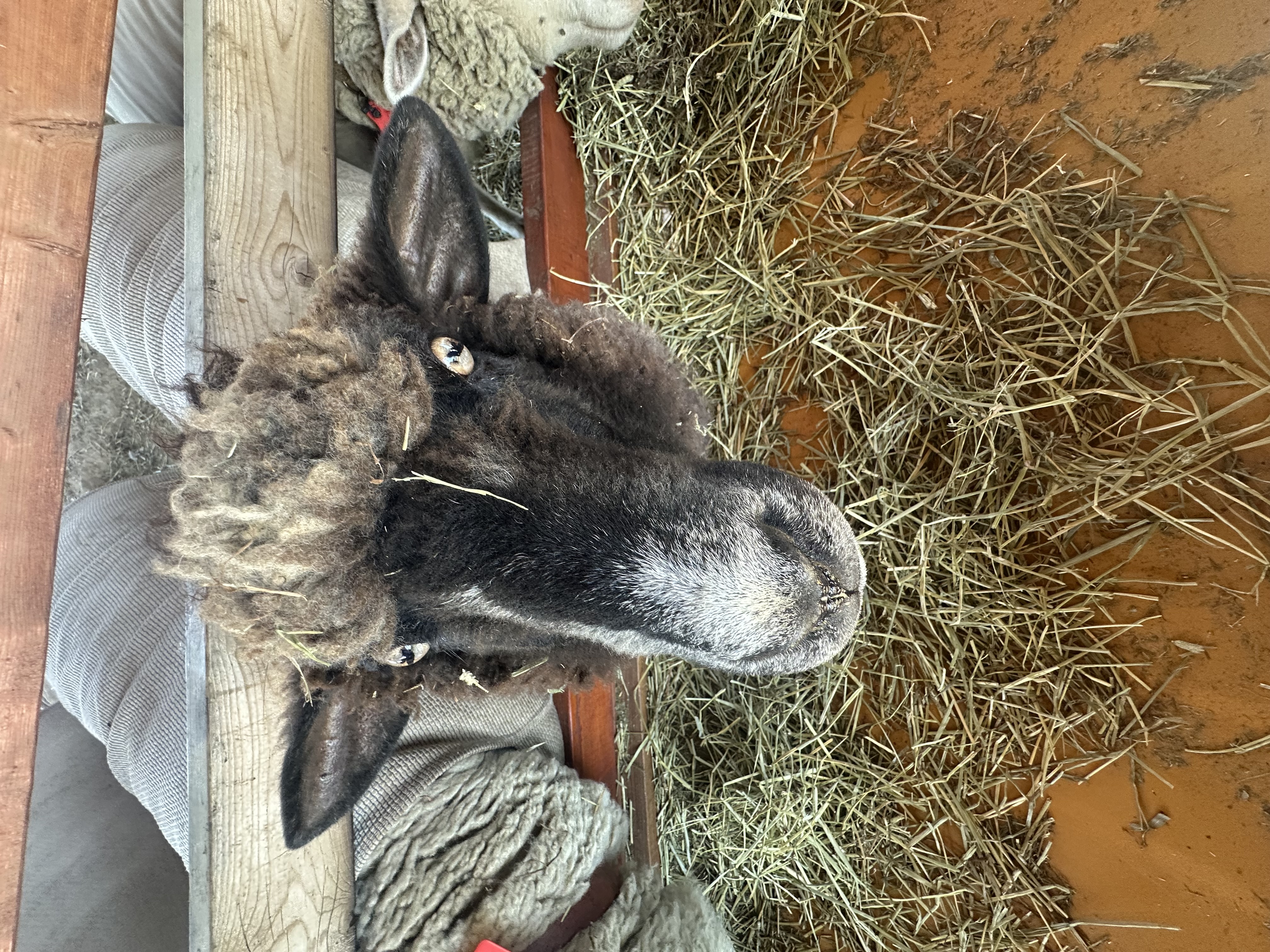 雨の日も安心秋の車ケアとコーティング10%オフ情報🚗✨