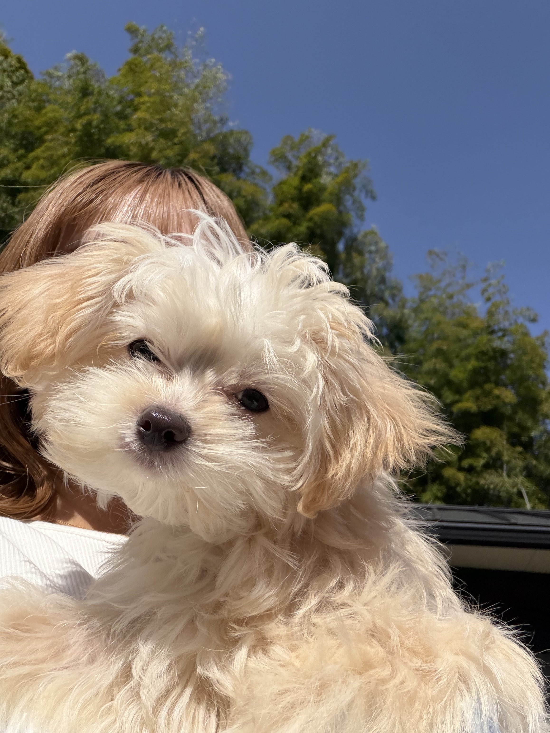 ルート22木曽川インターTSで春の愛車コーティング＆洗車キャンペーン開催中🚗｜ルート22木曽川インターTS｜202603030944