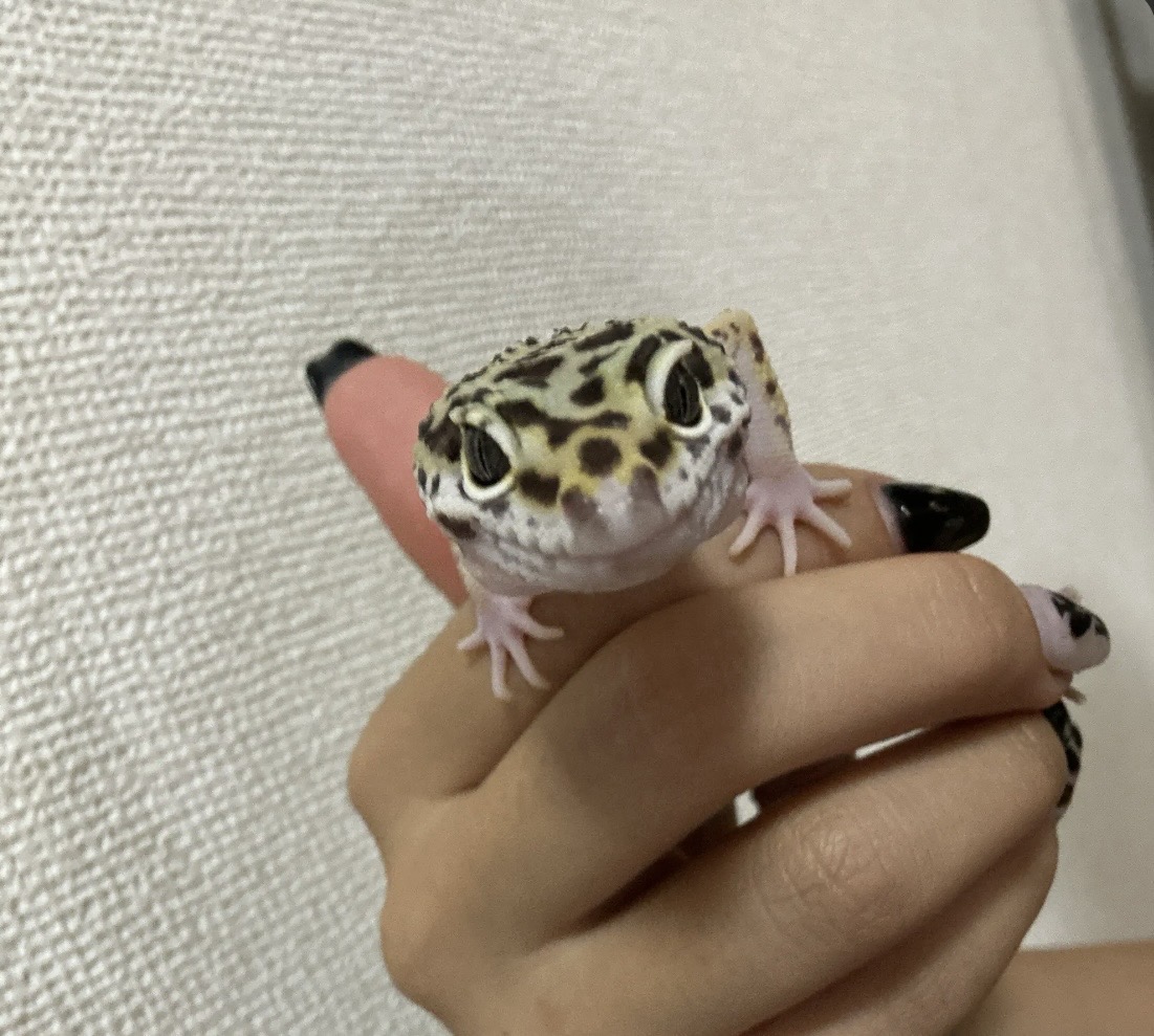 秋の愛車ケアにおすすめベンツも輝くフレッシュキーパー体験🚗