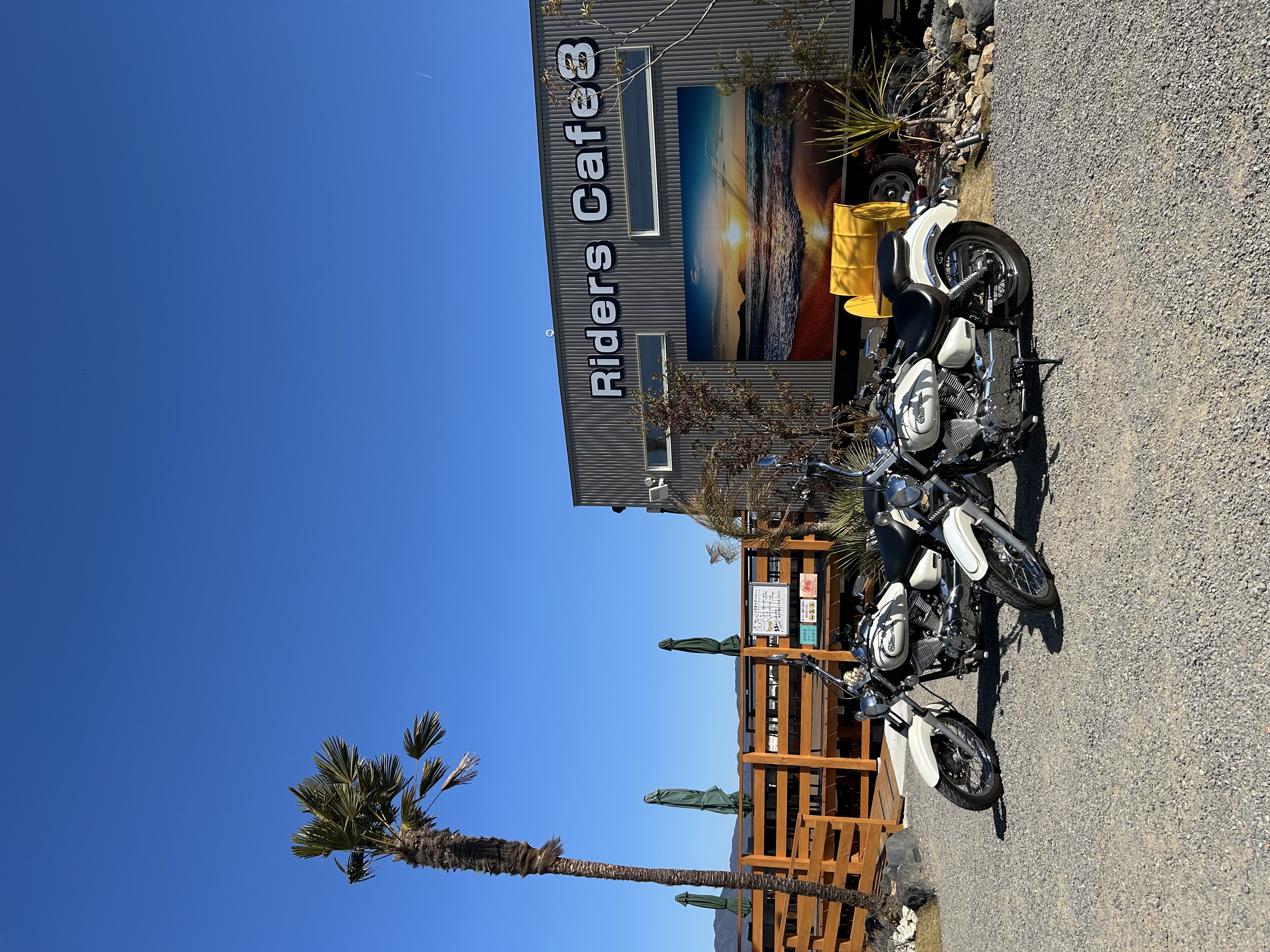 ルート22木曽川インターTSで洗車半額キャンペーン中🚗春の愛車ケアポイントも紹介