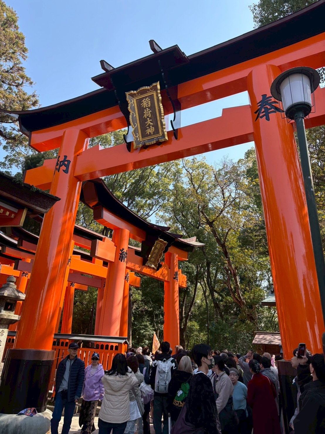 春の撥水復元洗車で愛車のツヤと視界をリフレッシュ🌸