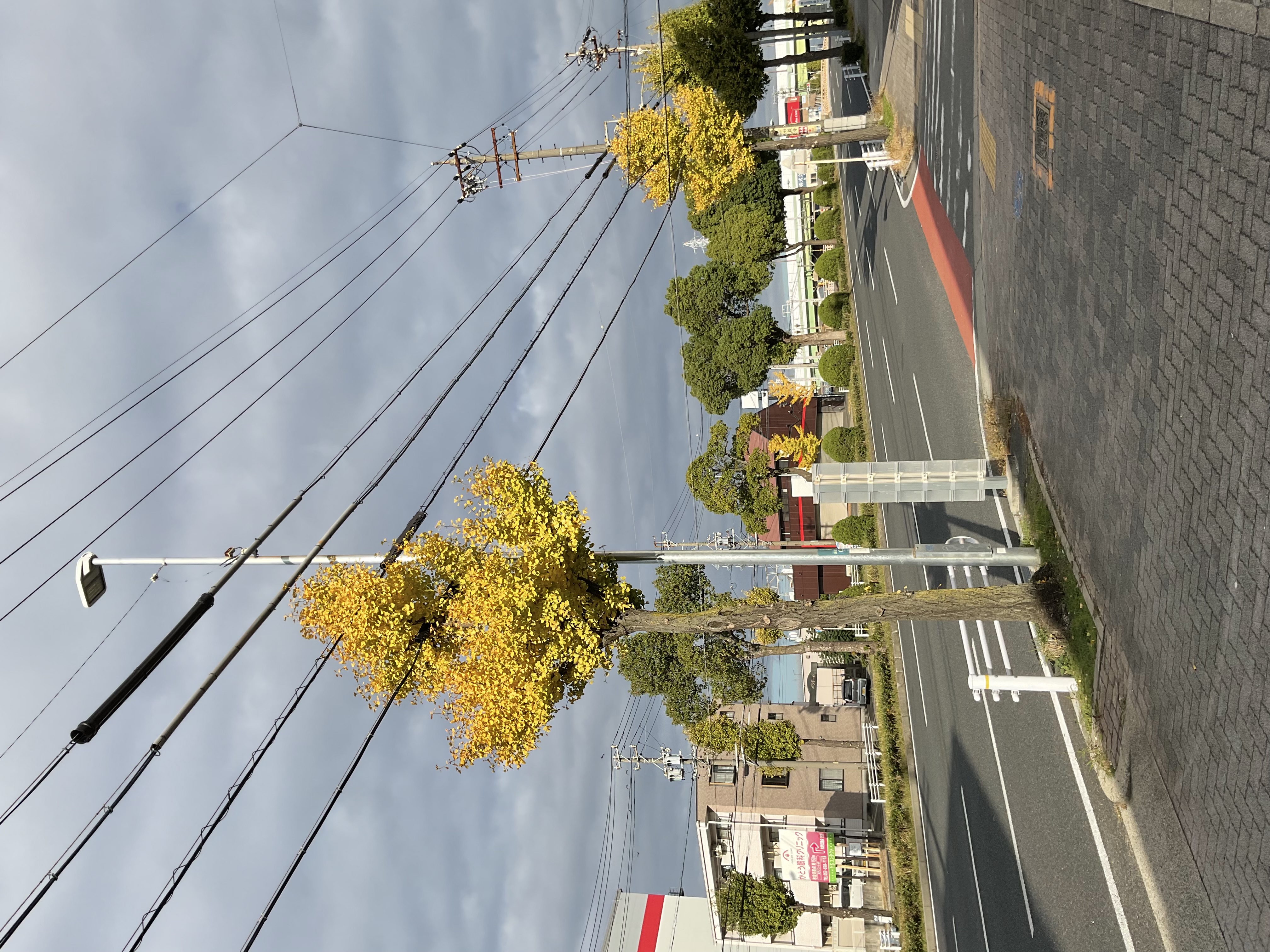 冬のバッテリー点検と安心ドライブのコツを加福本通TSでチェック🔋