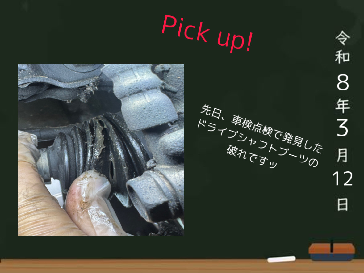 3/12【花粉突入注意！】