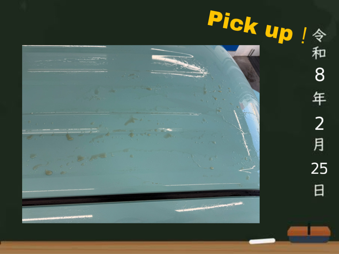 2/25【鉄粉のイタズラ】