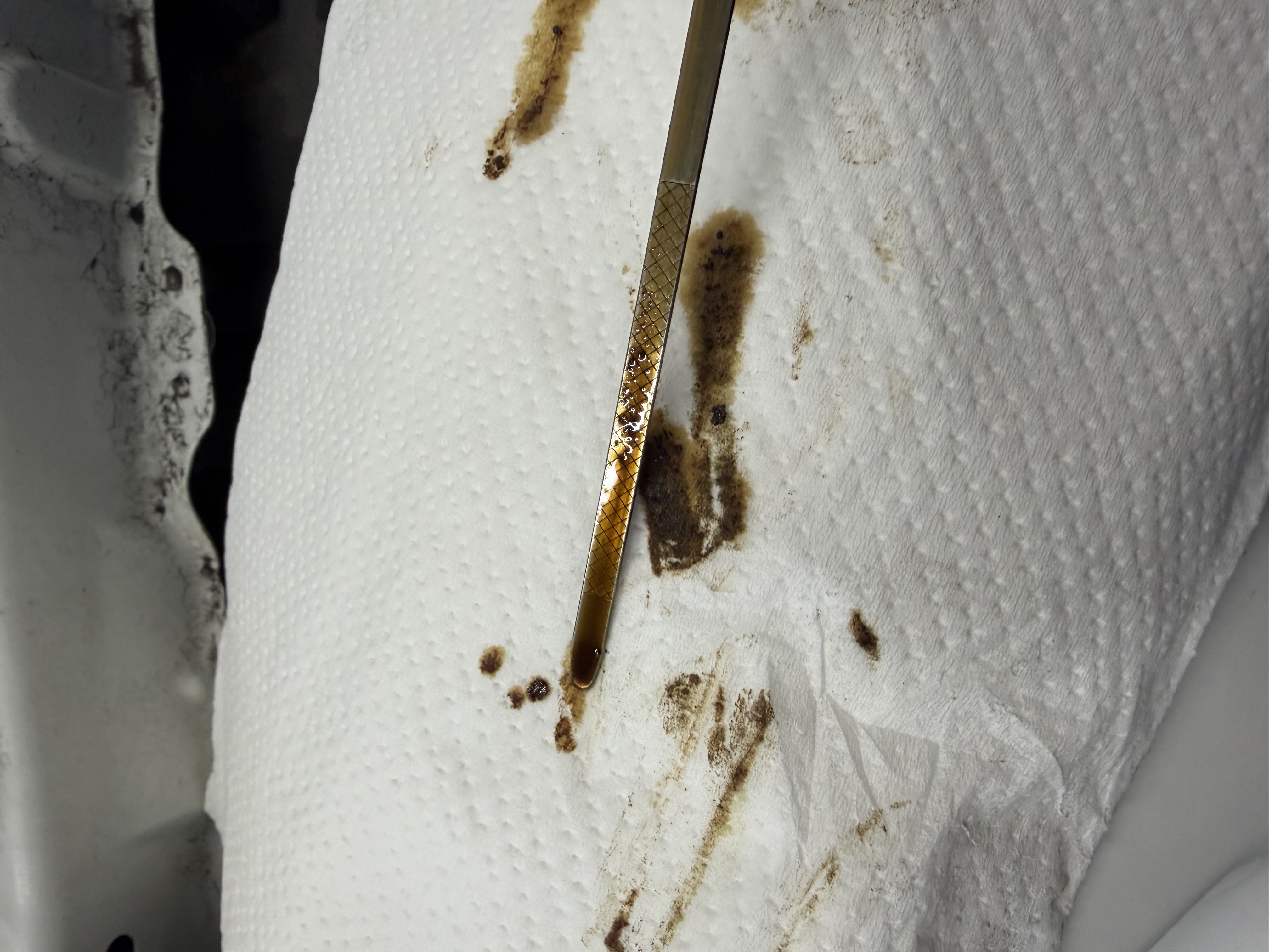 ルート23鈴鹿TSで秋のオイル交換とエンジンフラッシング体験🚗✨