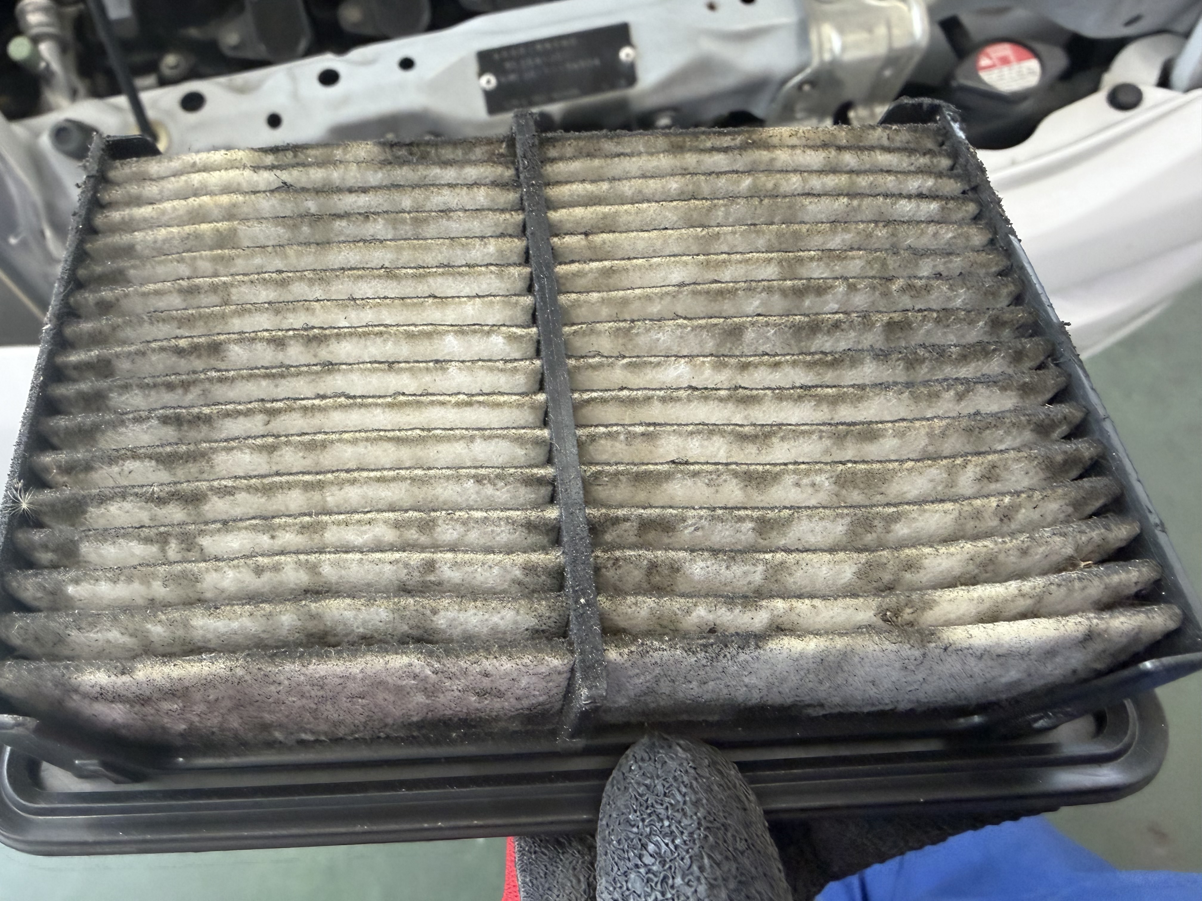 ルート23鈴鹿TSで学ぶ冬の車メンテナンスポイント🚗安心ドライブの秘訣