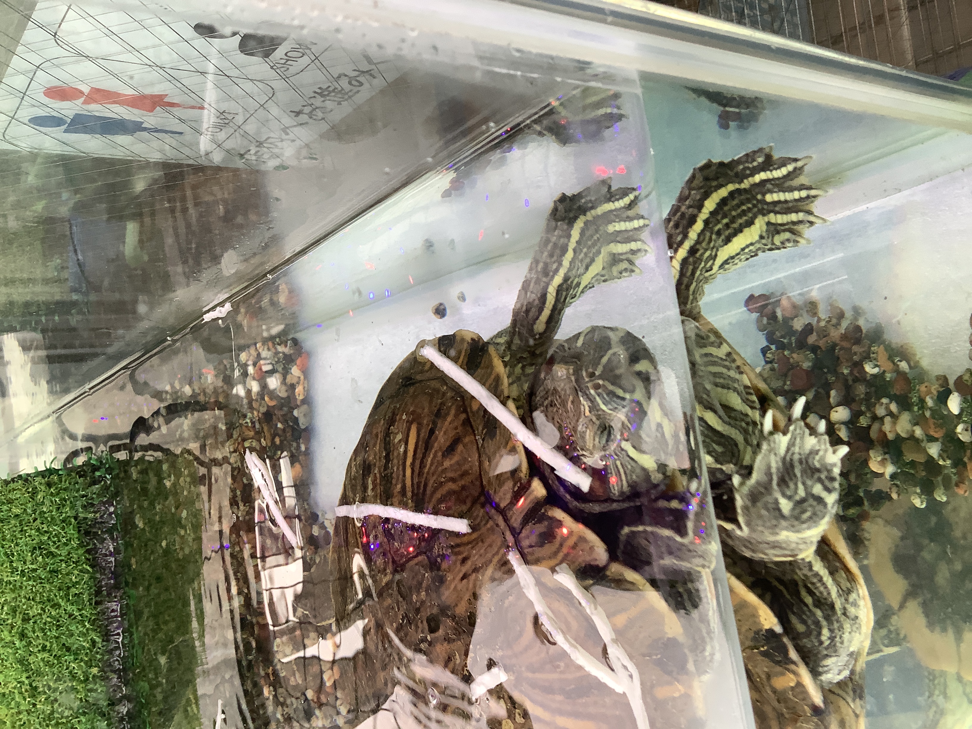 春のタイヤ交換は岐阜羽島インターTSでお得に予約しよう🛞