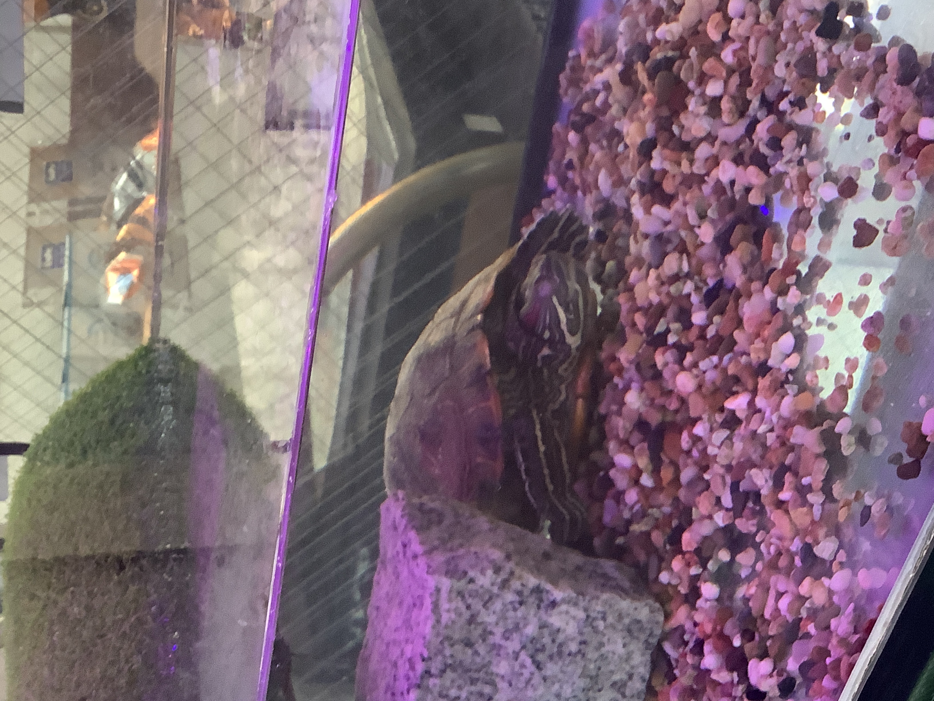 岐阜羽島インターTSで秋の車点検と快適ドライブ準備をしよう🚗