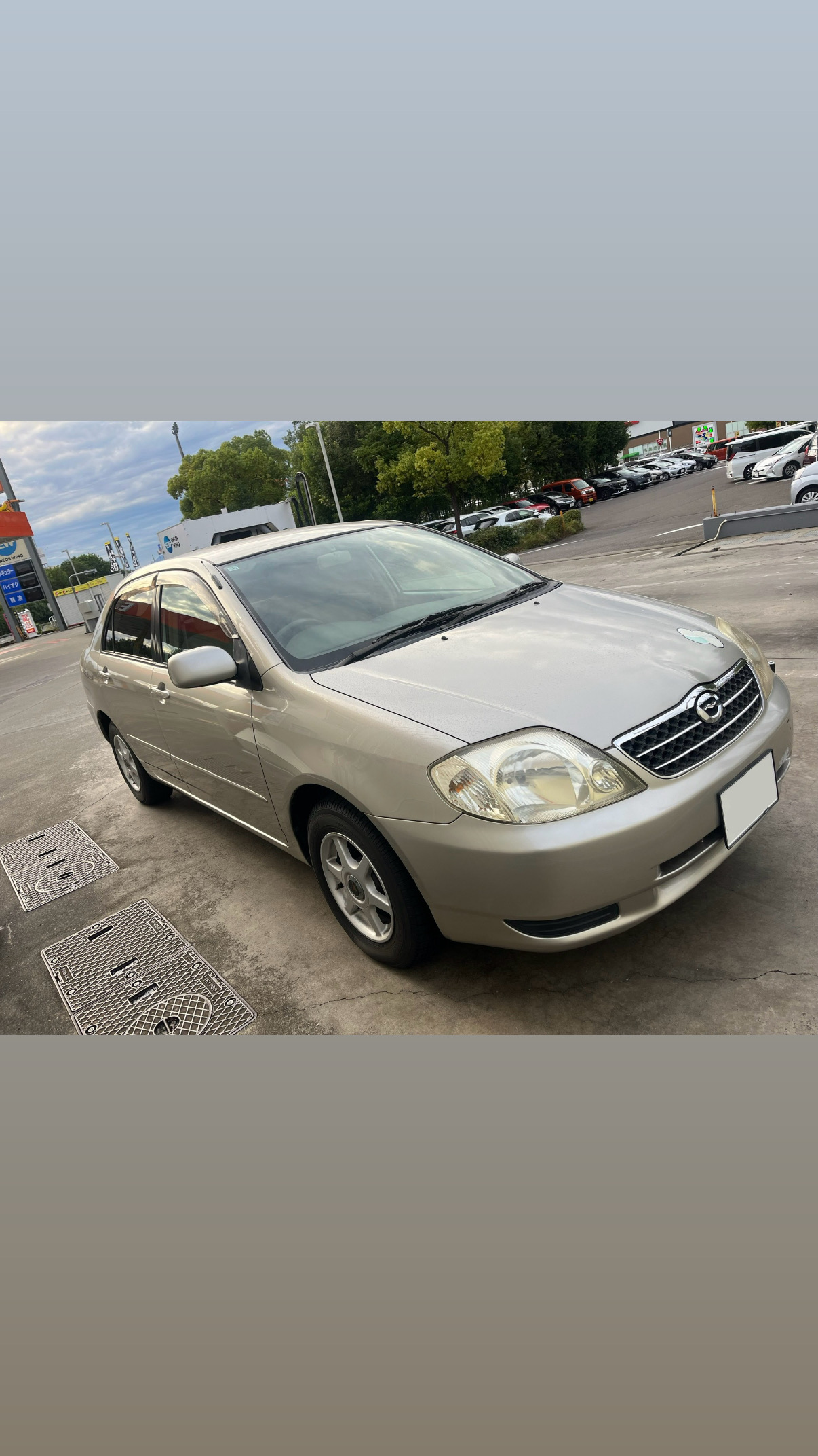 どんなお車でも買取✨