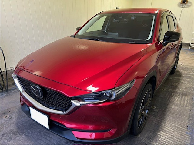 冬の車点検とお得なコーティング割引情報をチェック🚗✨