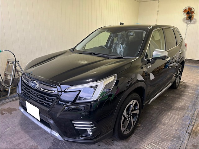 春の花粉対策もばっちり！洗車とお得キャンペーン情報🚗