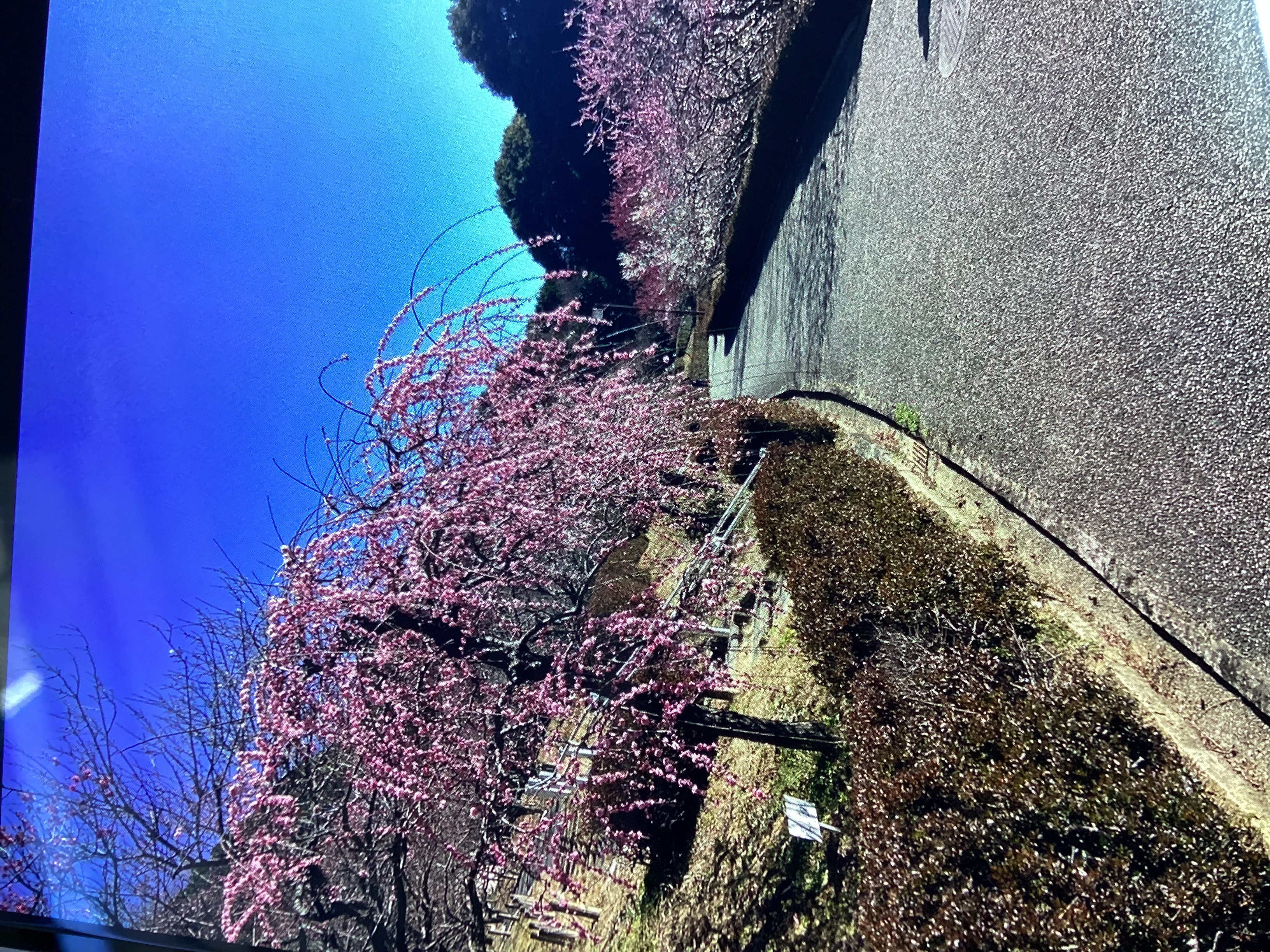 冬の車メンテナンスとお得情報が満載のセルフ新栄SS日記🚗✨