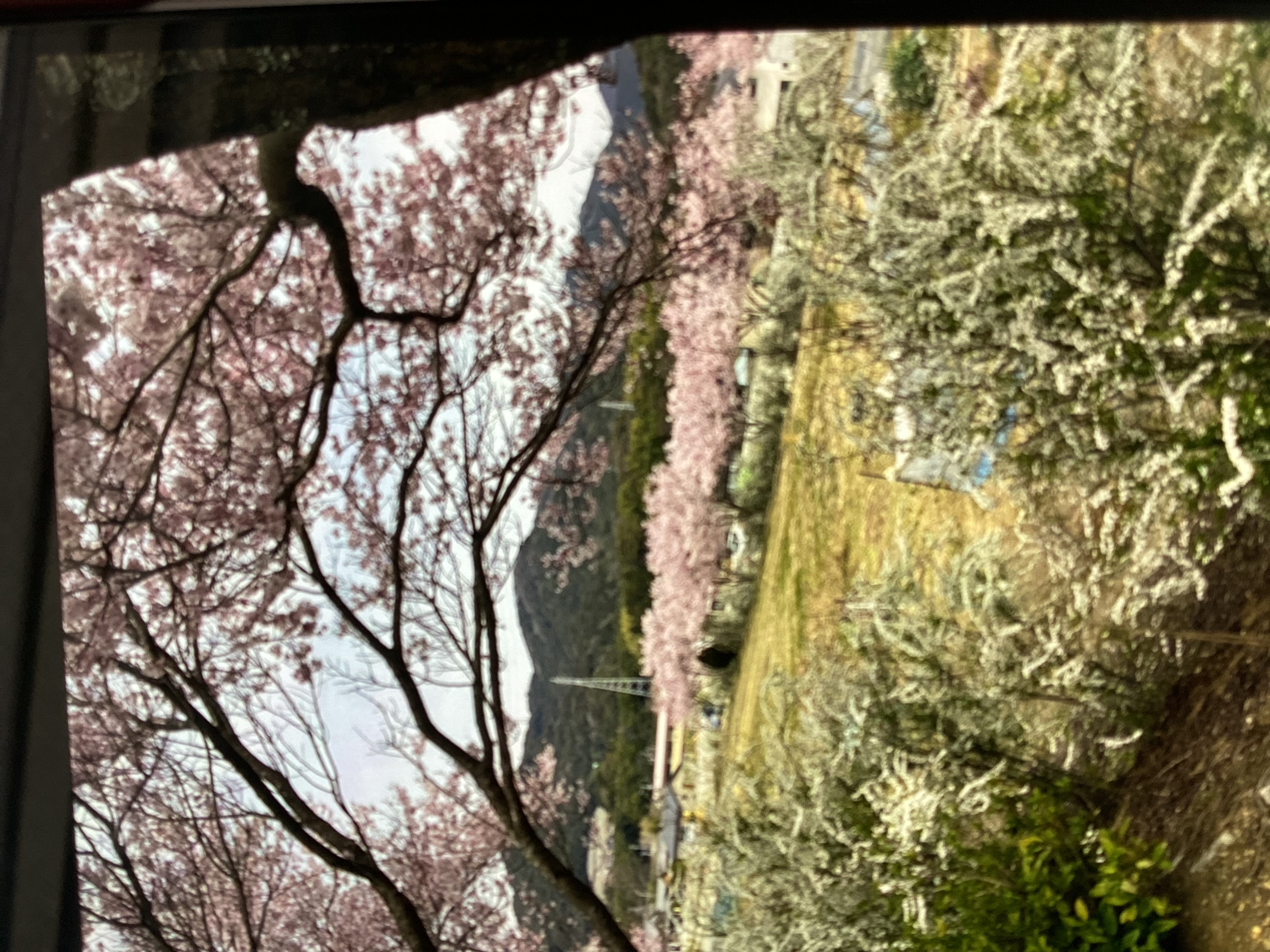 4月オイル交換半額キャンペーン予約受付中！