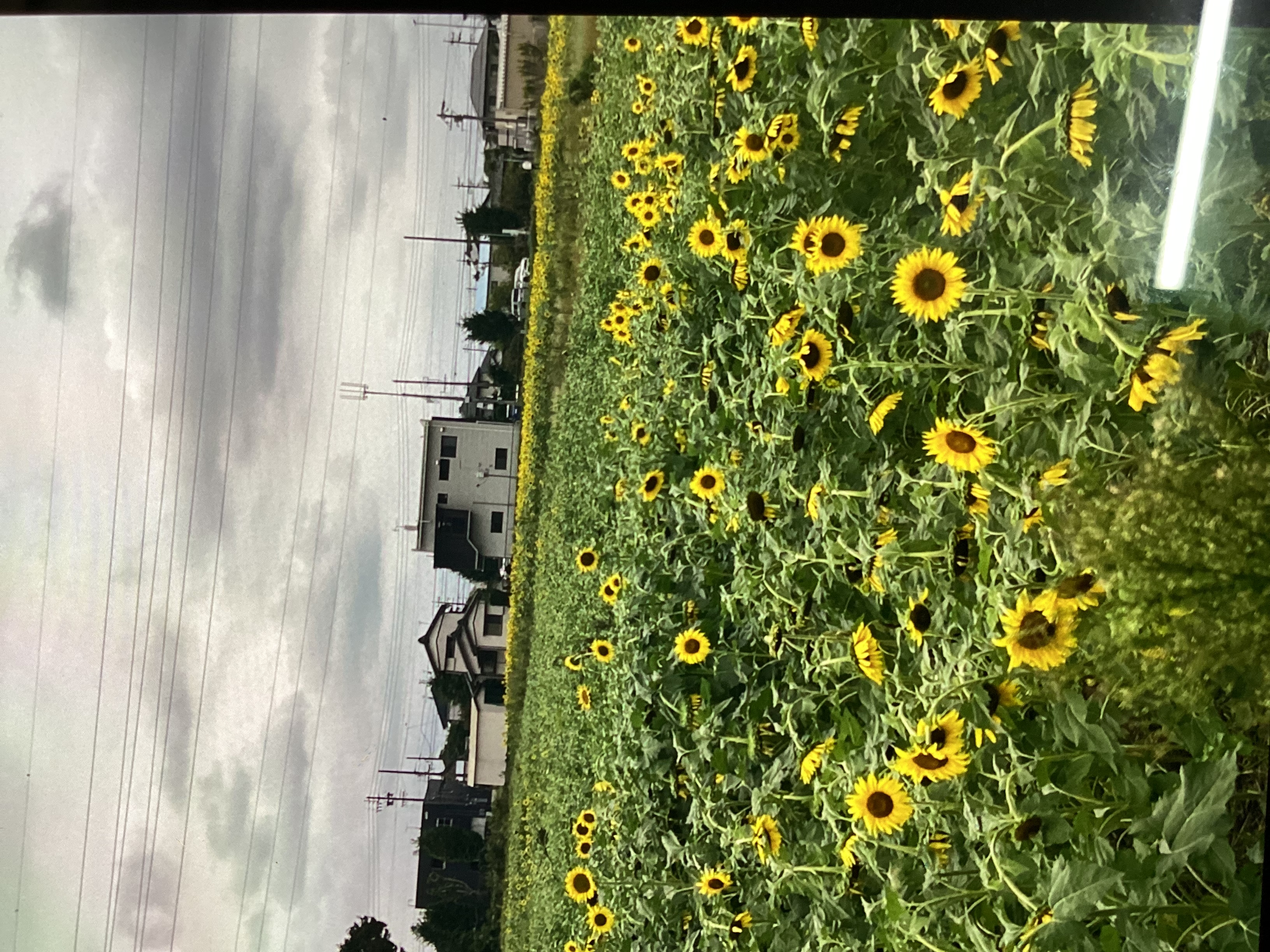 秋のドライブ前にセルフ新栄SSで安心タイヤ点検をしよう🛞